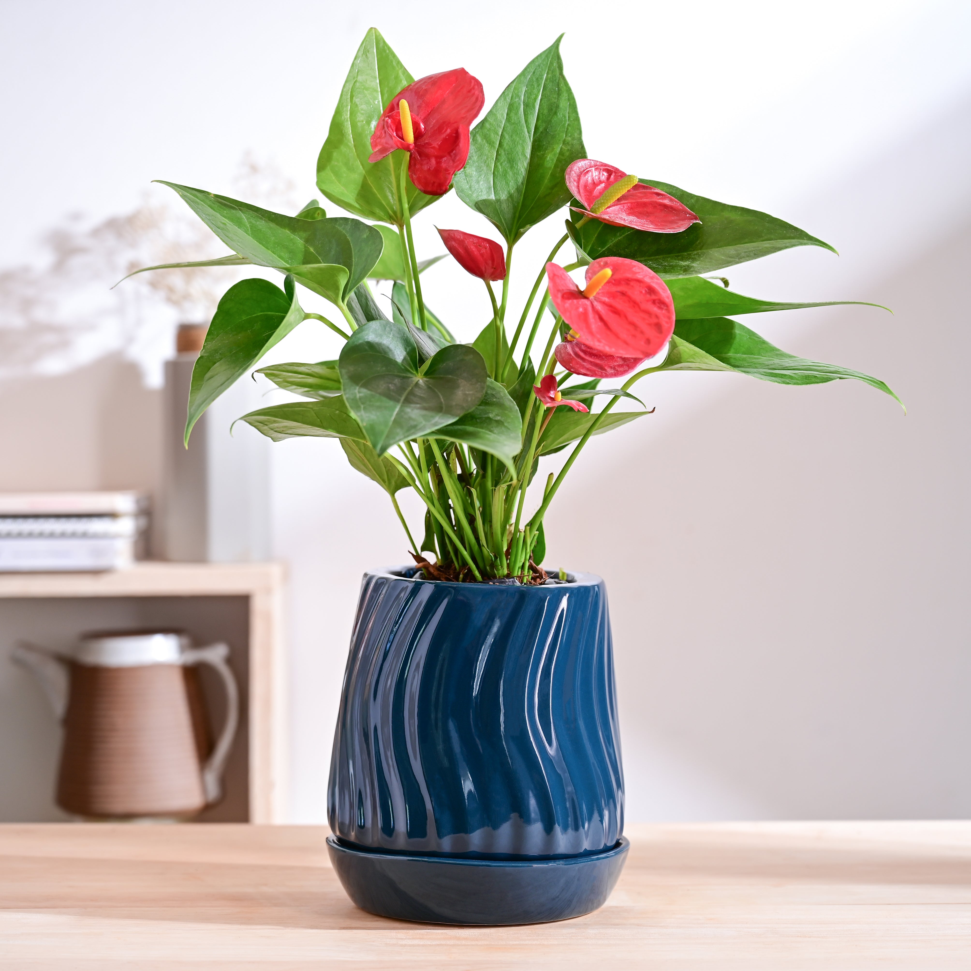 Ugaoo Fallen Angel Ceramic Planter - view 9
