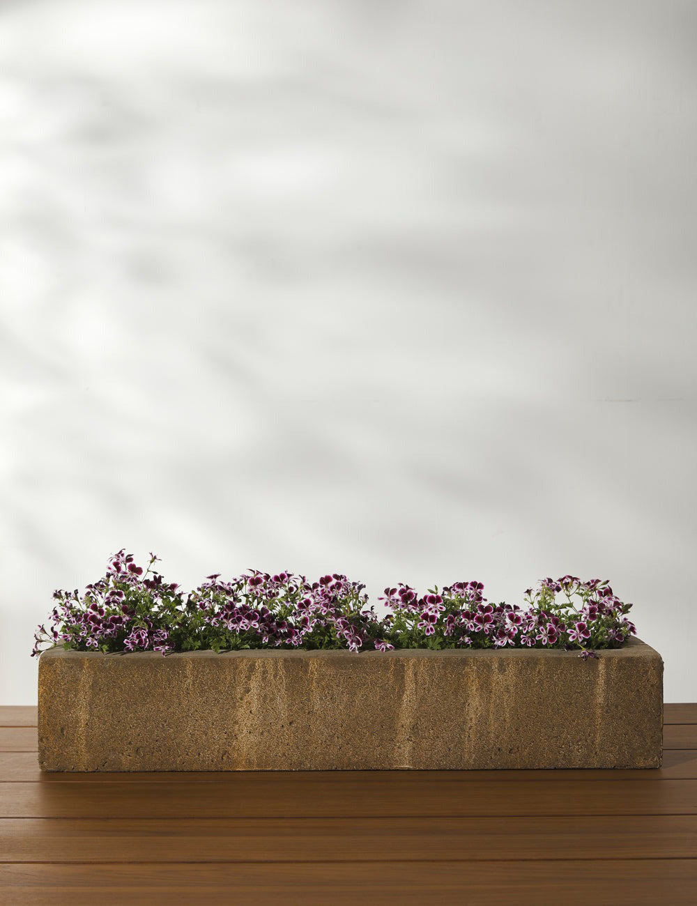 Lulu and Georgia Basic Element Long Planter by Campania International