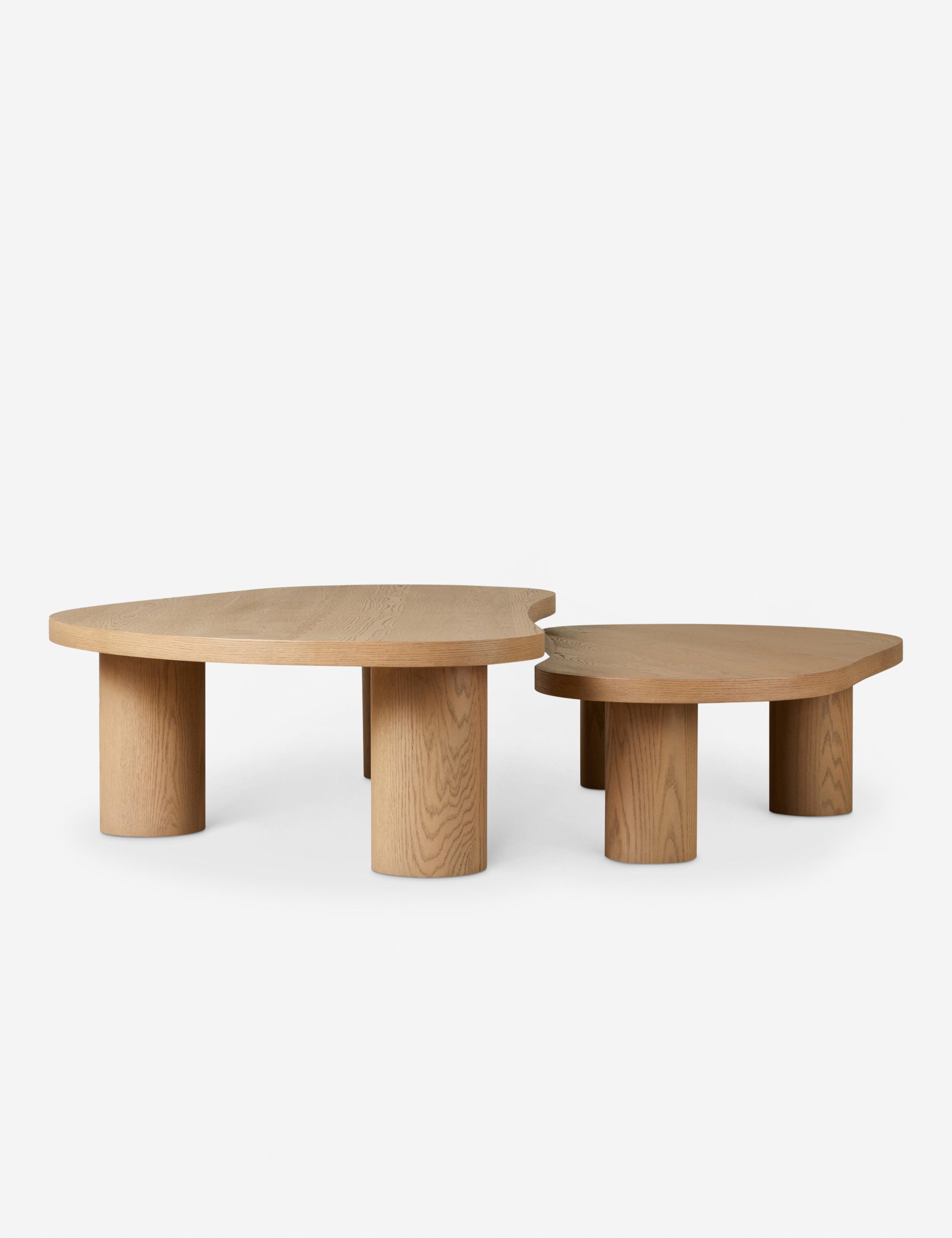 Lulu and Georgia Heiko Nesting Coffee Table (Set of 2) - view 4