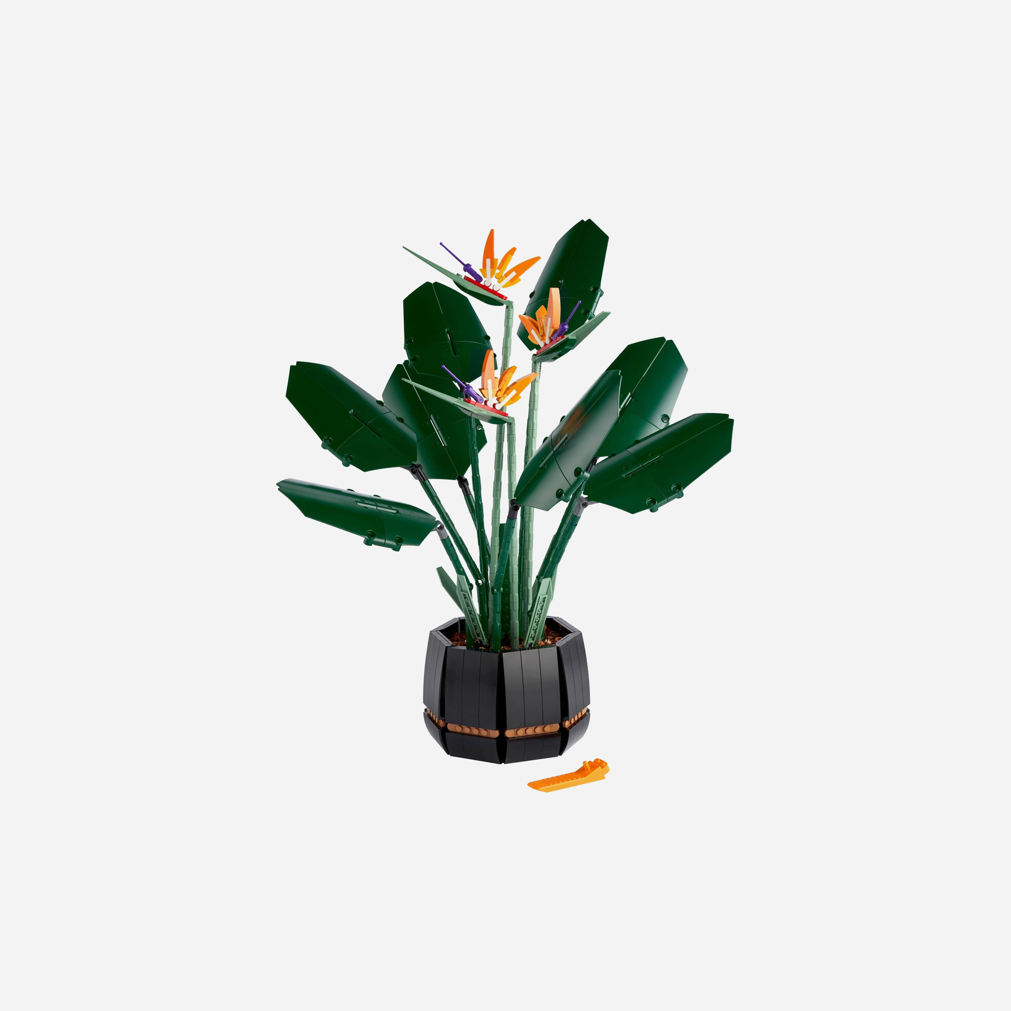 LEGO Botanical Collection Bird of Paradise Set 10289 - view 2