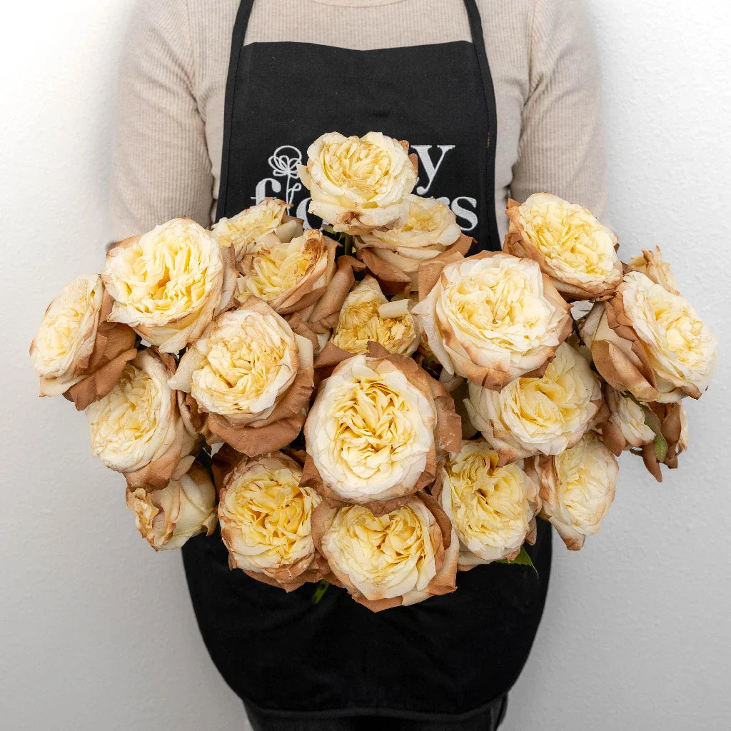FiftyFlowers Mocha Tinted Champagne Garden Rose
