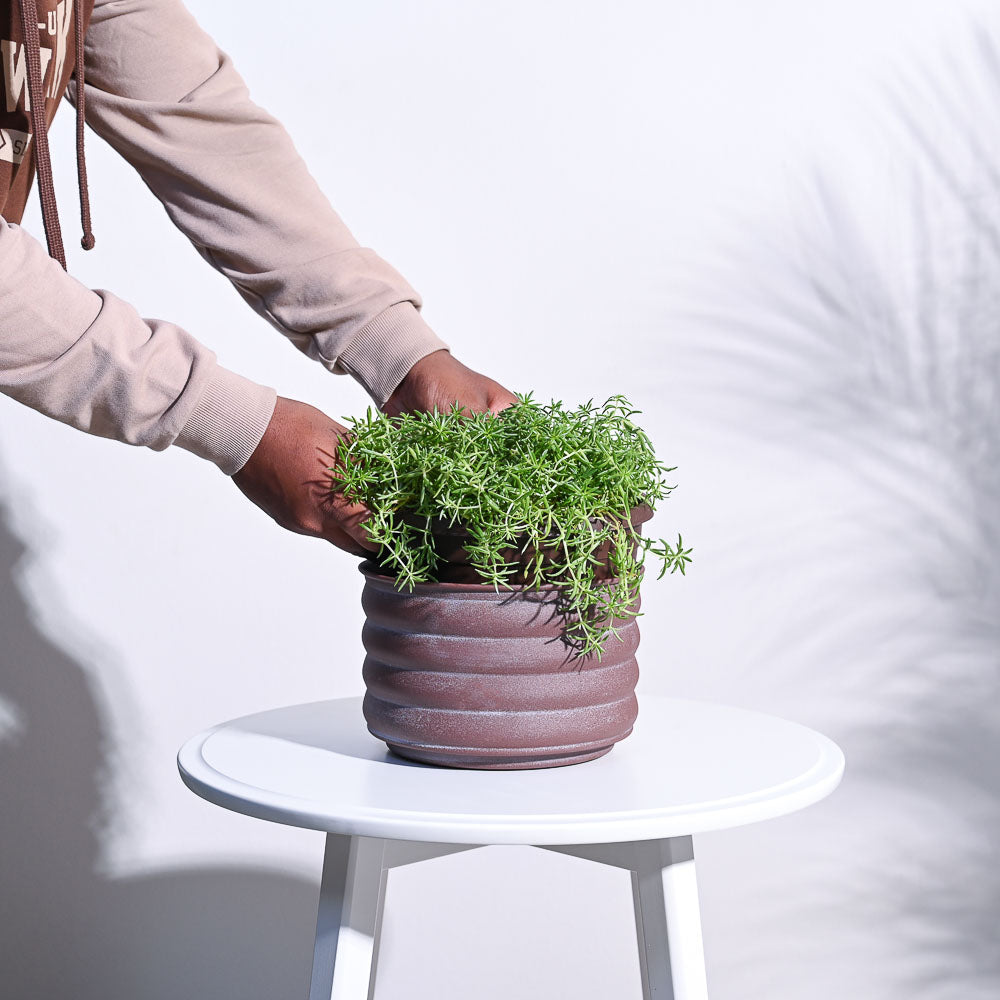 Ugaoo RidgeCraft Cylindrical Planter - view 6