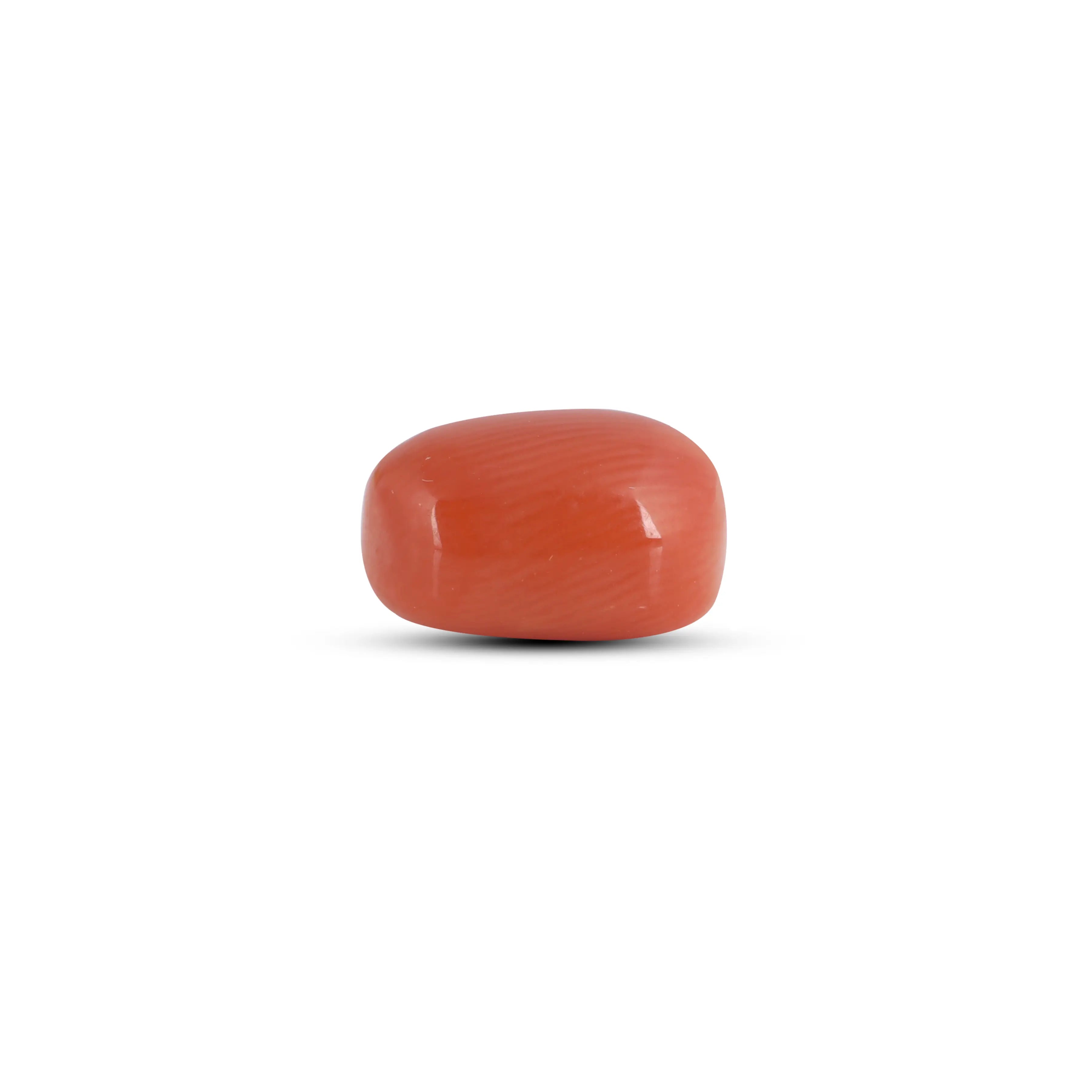 Pramogh Red Coral - 3.9 Carat - view 3
