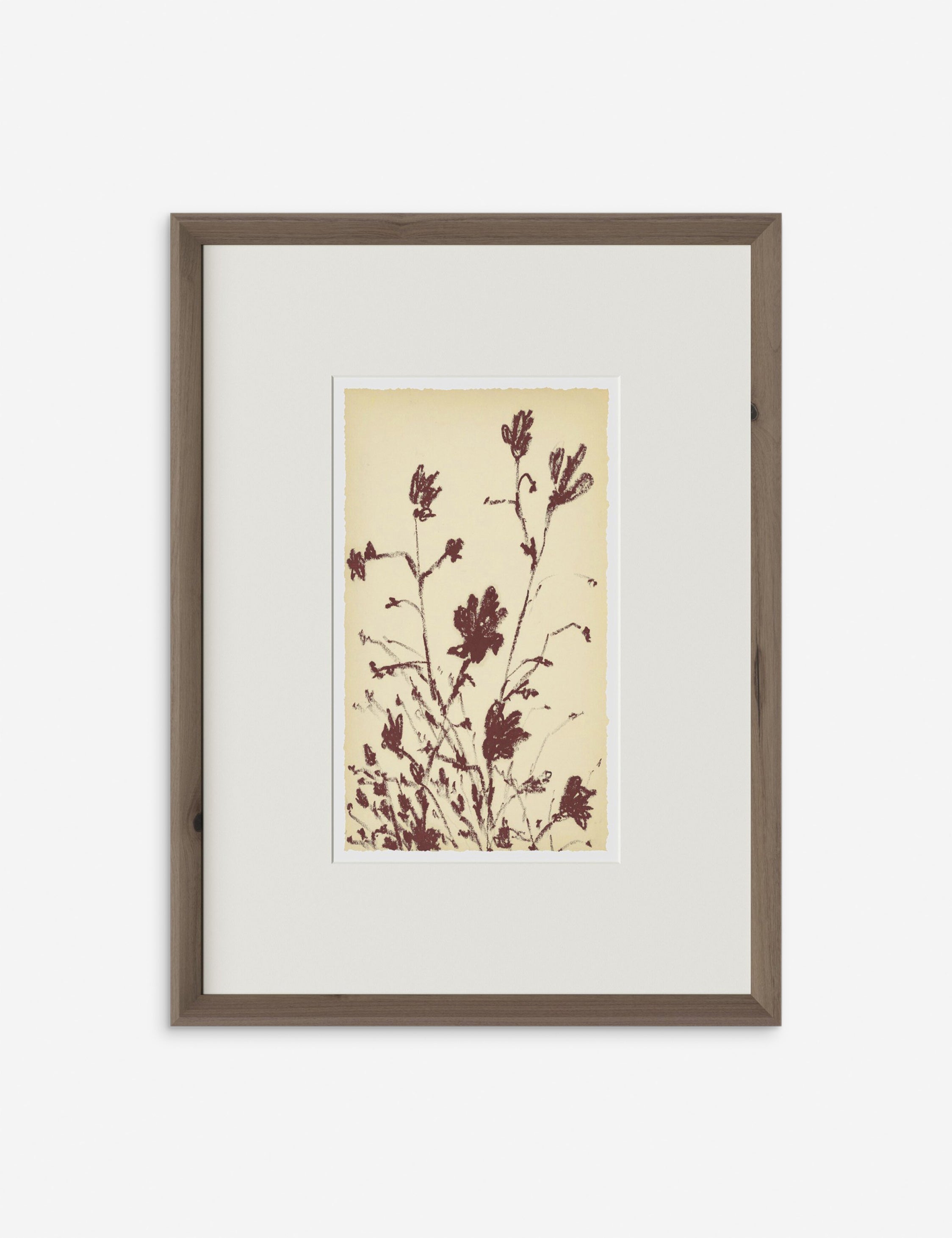 Lulu and Georgia Meadow Rue No. 3 Wall Art by Shaina Page