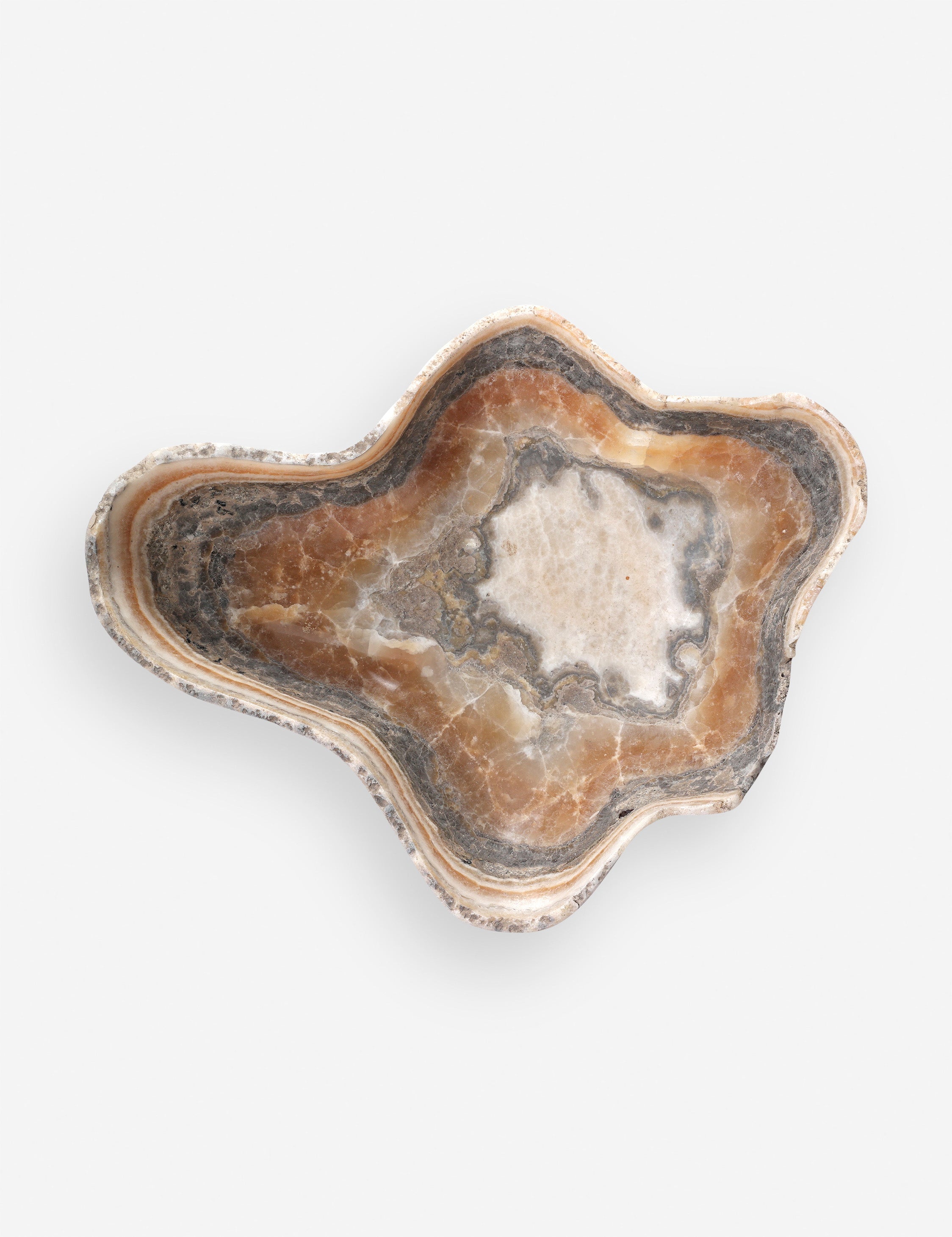 Lulu and Georgia Noki Petrified Wood Bowl - view 9