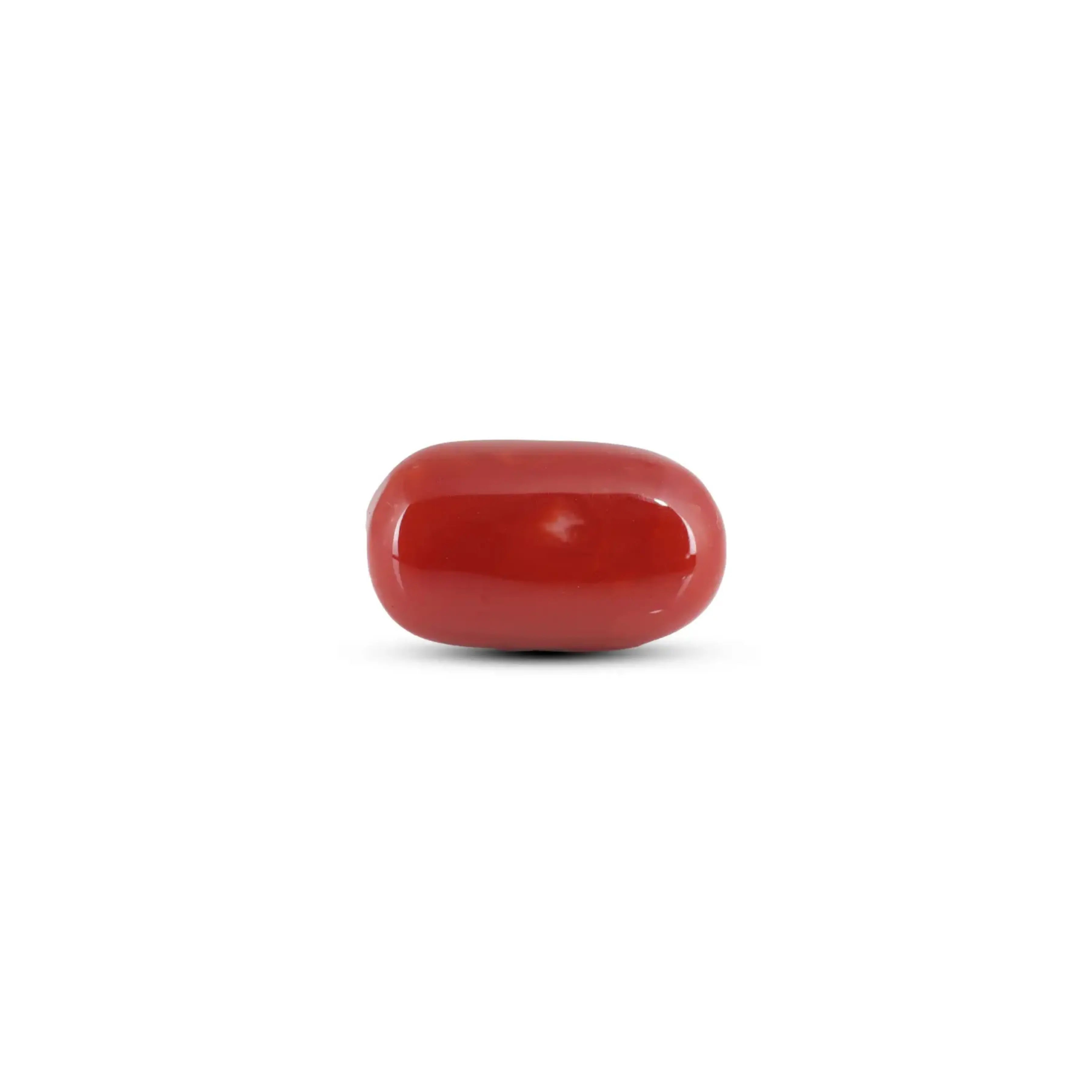 Pramogh Japanese Red Coral - 8.1 Carat