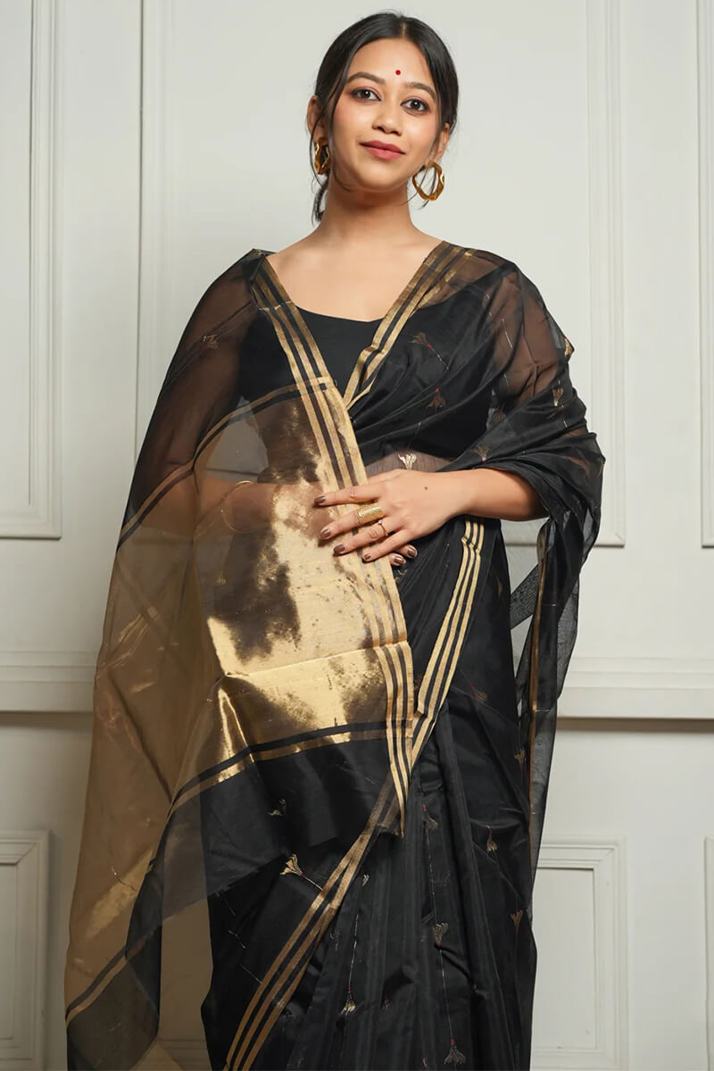 Aayna Imaginative Black Cotton Silk Saree With Desirable Blouse Piece - view 2