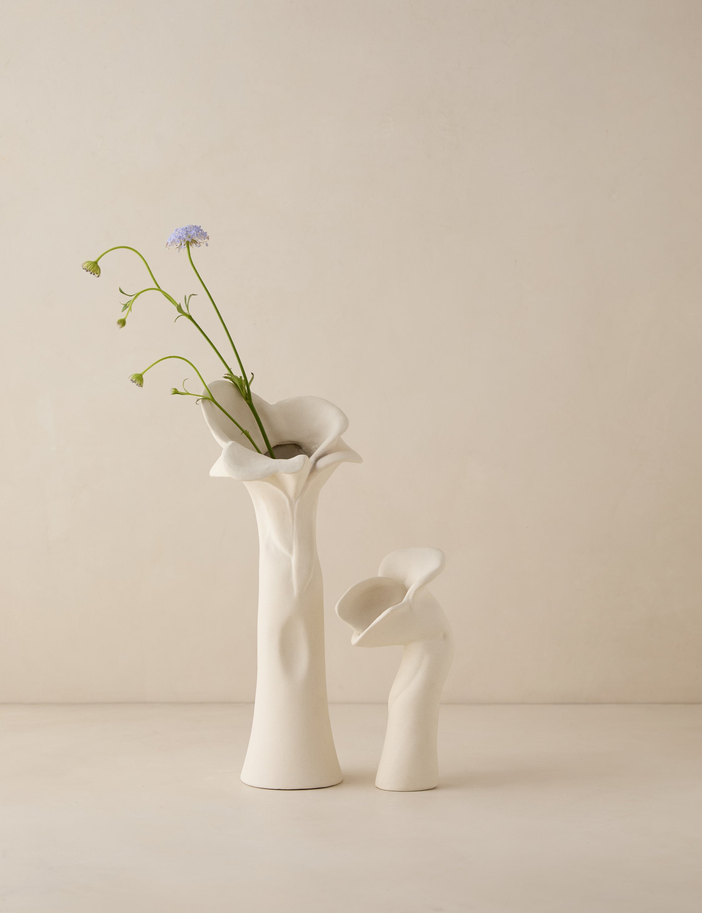Lulu and Georgia Pari Sculptural Vases (Set of 2) by Sarah Sherman Samuel
