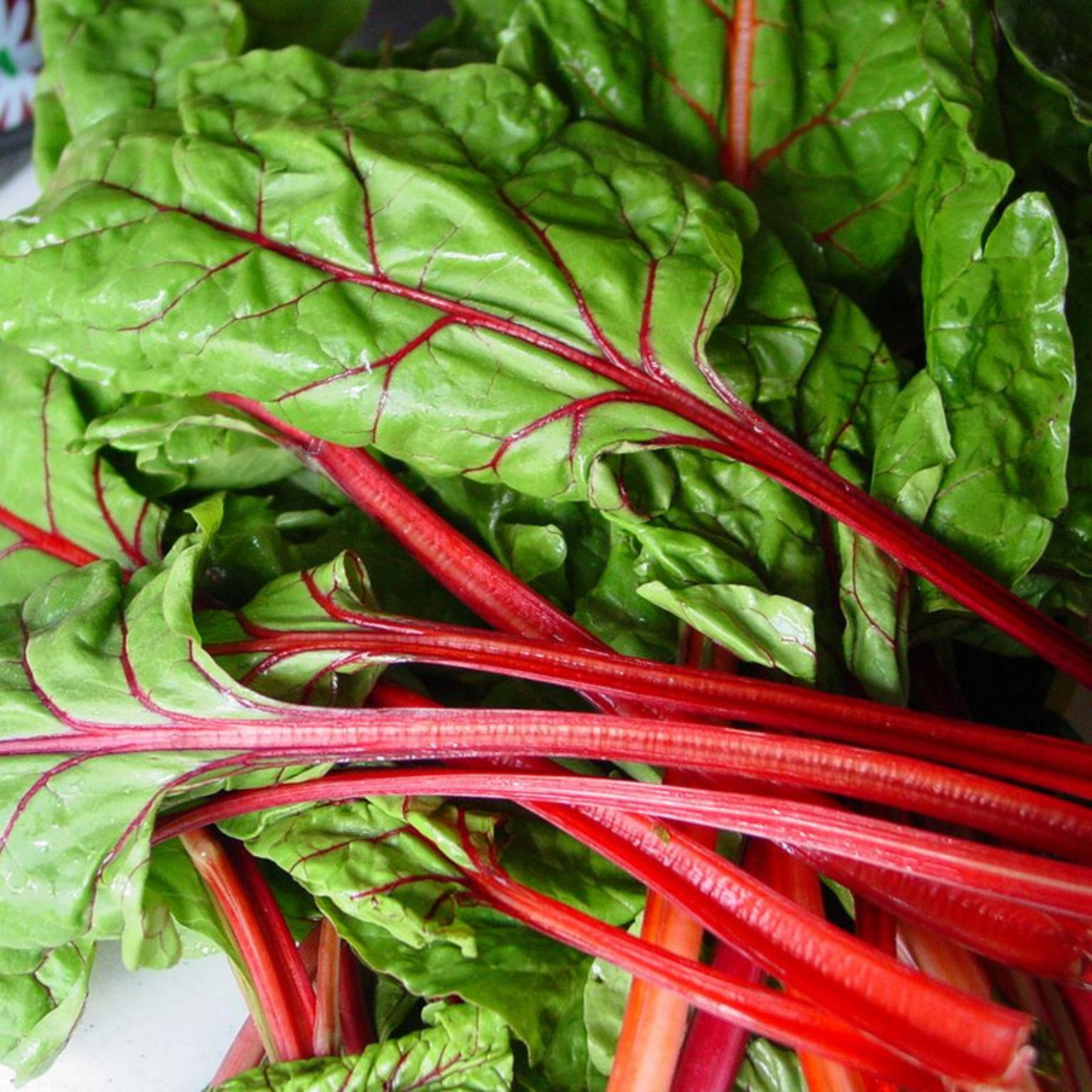 Seed2Plant Organic Swiss Chard Red (स्विस चर्ड रेड) Seeds - Open Pollinated