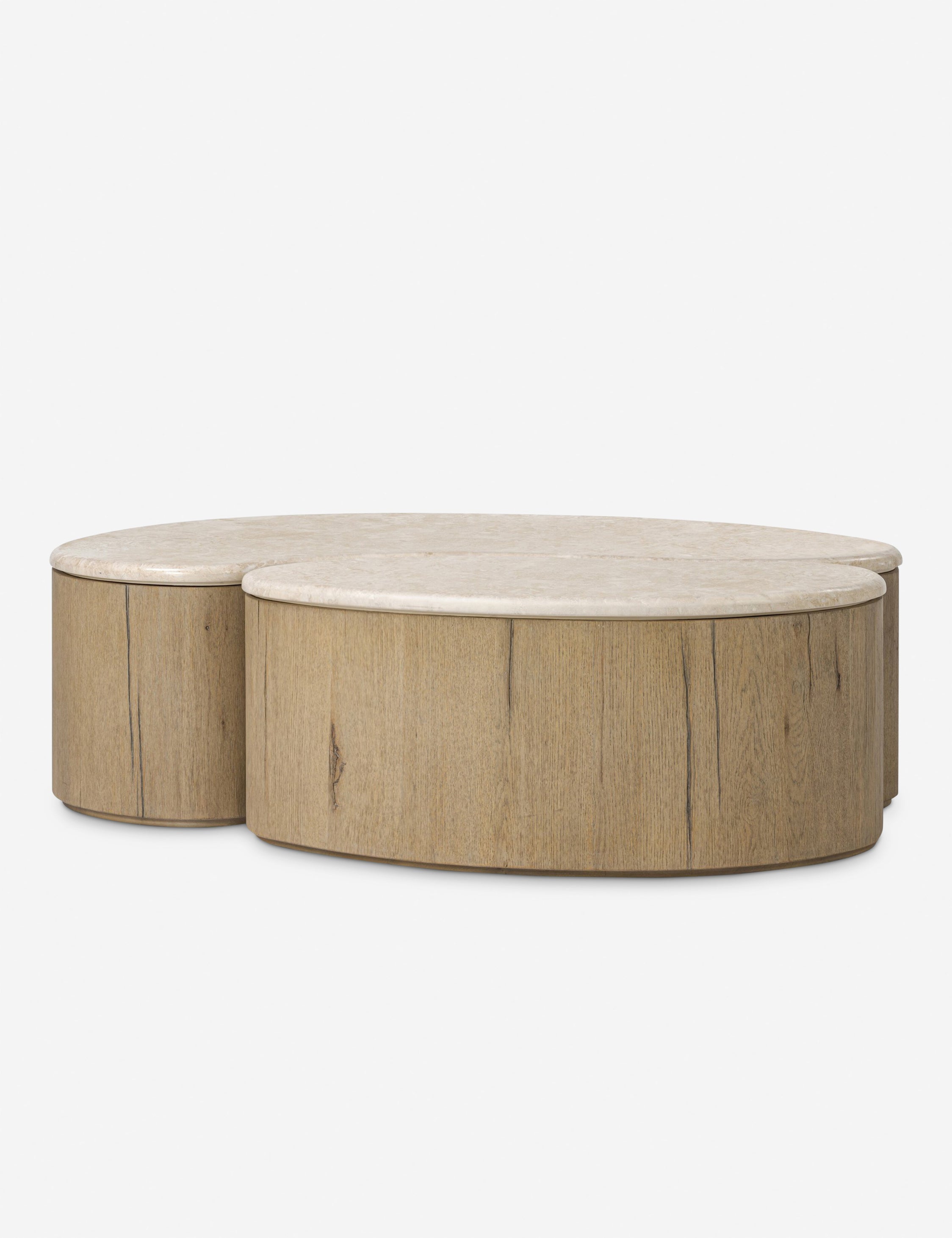 Lulu and Georgia Lazaro Nesting Coffee Table (Set of 2) - view 3