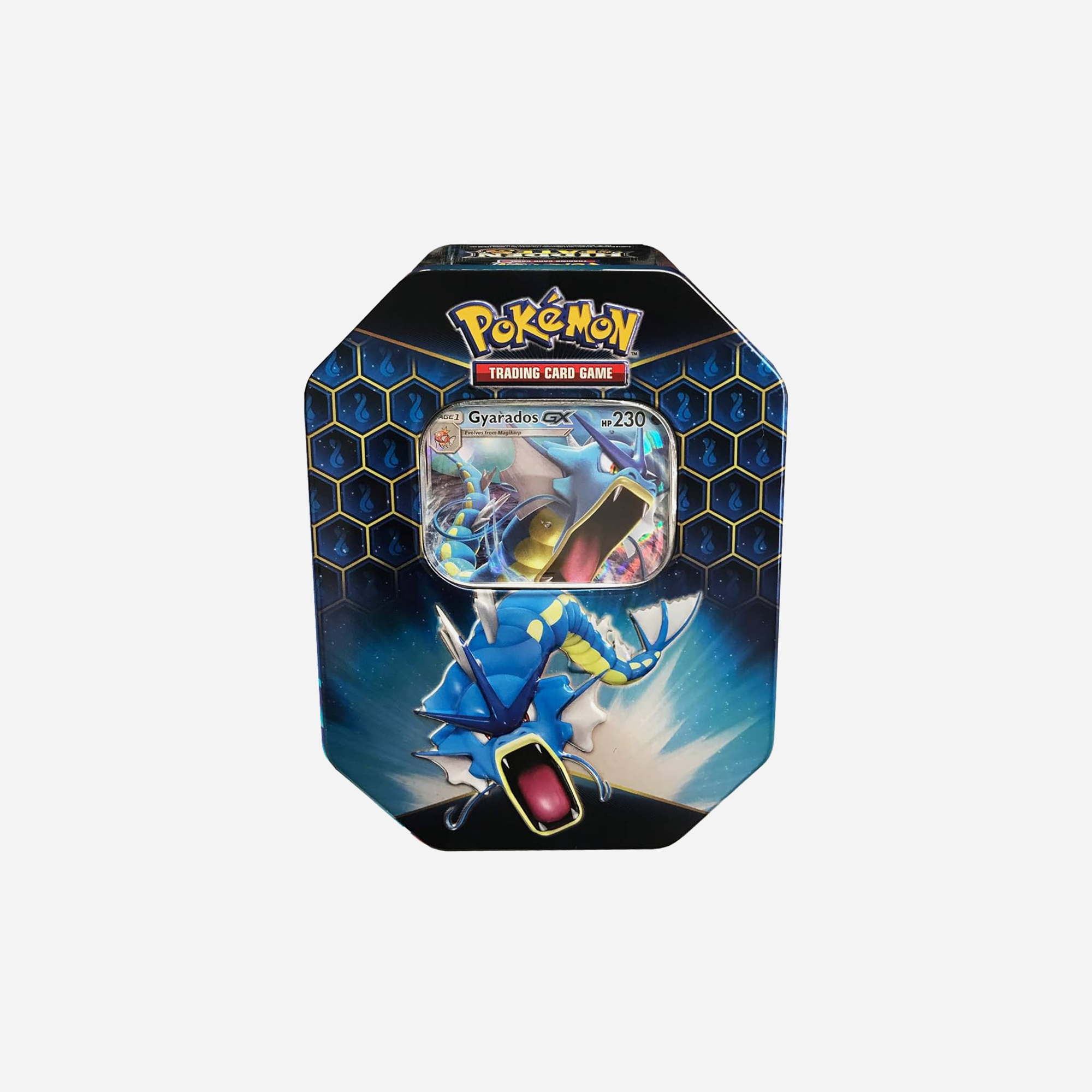 Pokémon Pokemon TCG Hidden Fates Gyrados Tin – Multi