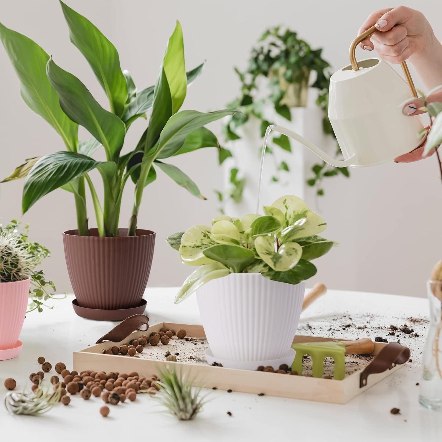 Roposo Clout Premium Round Flower Pot + Trays Saucer - view 2