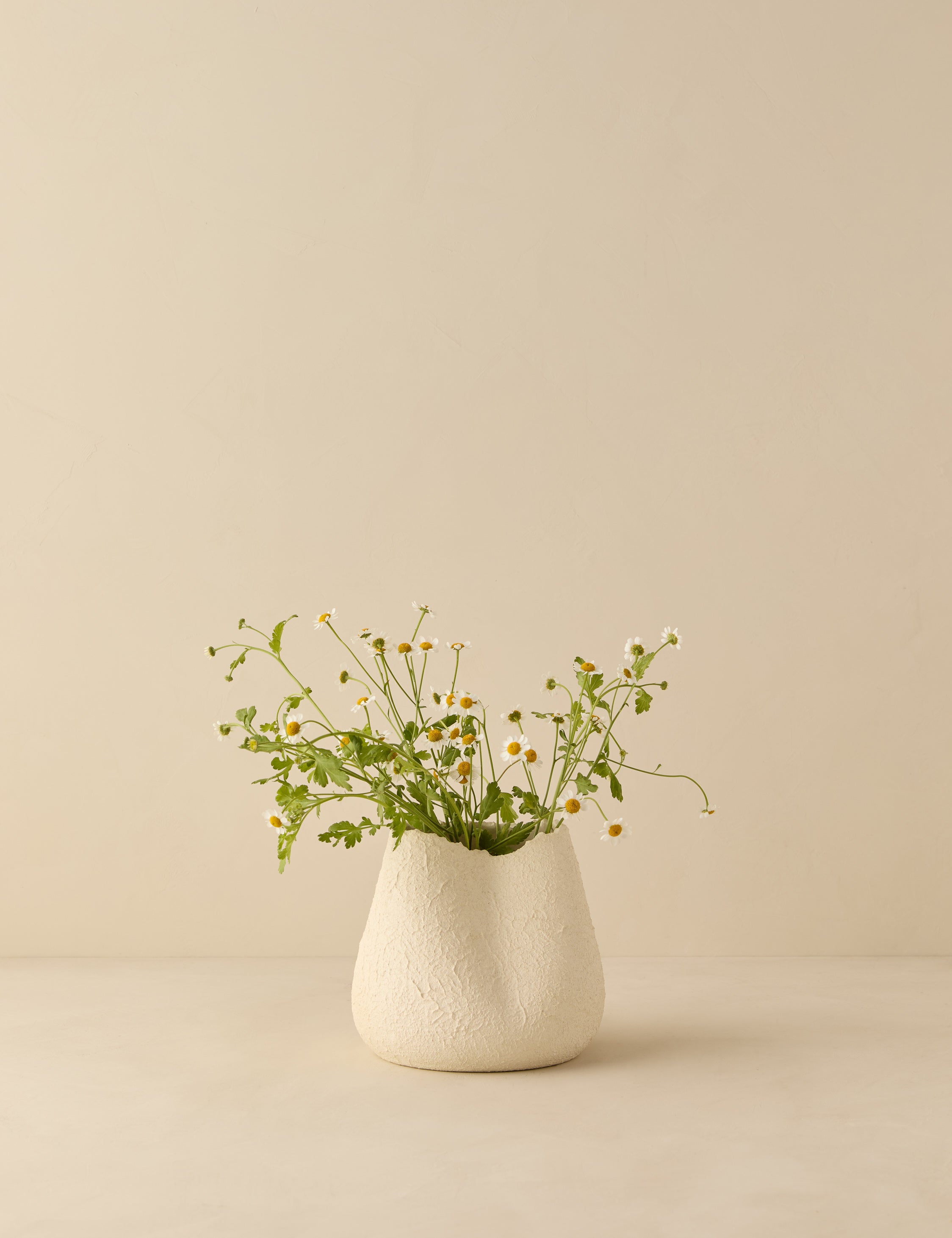 Lulu and Georgia Phoebe Vase by dumæ – Sierra Blanc