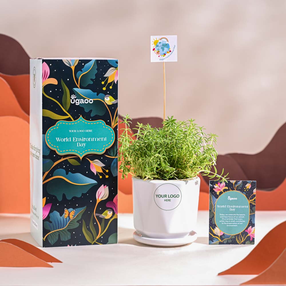 Ugaoo Golden Sedum Plant For Environment Day Gifting - view 49