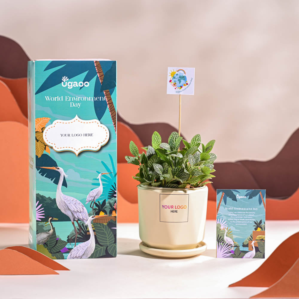 Ugaoo Fittonia Green Plant (Nerve Plant) For Environment Day Gifting