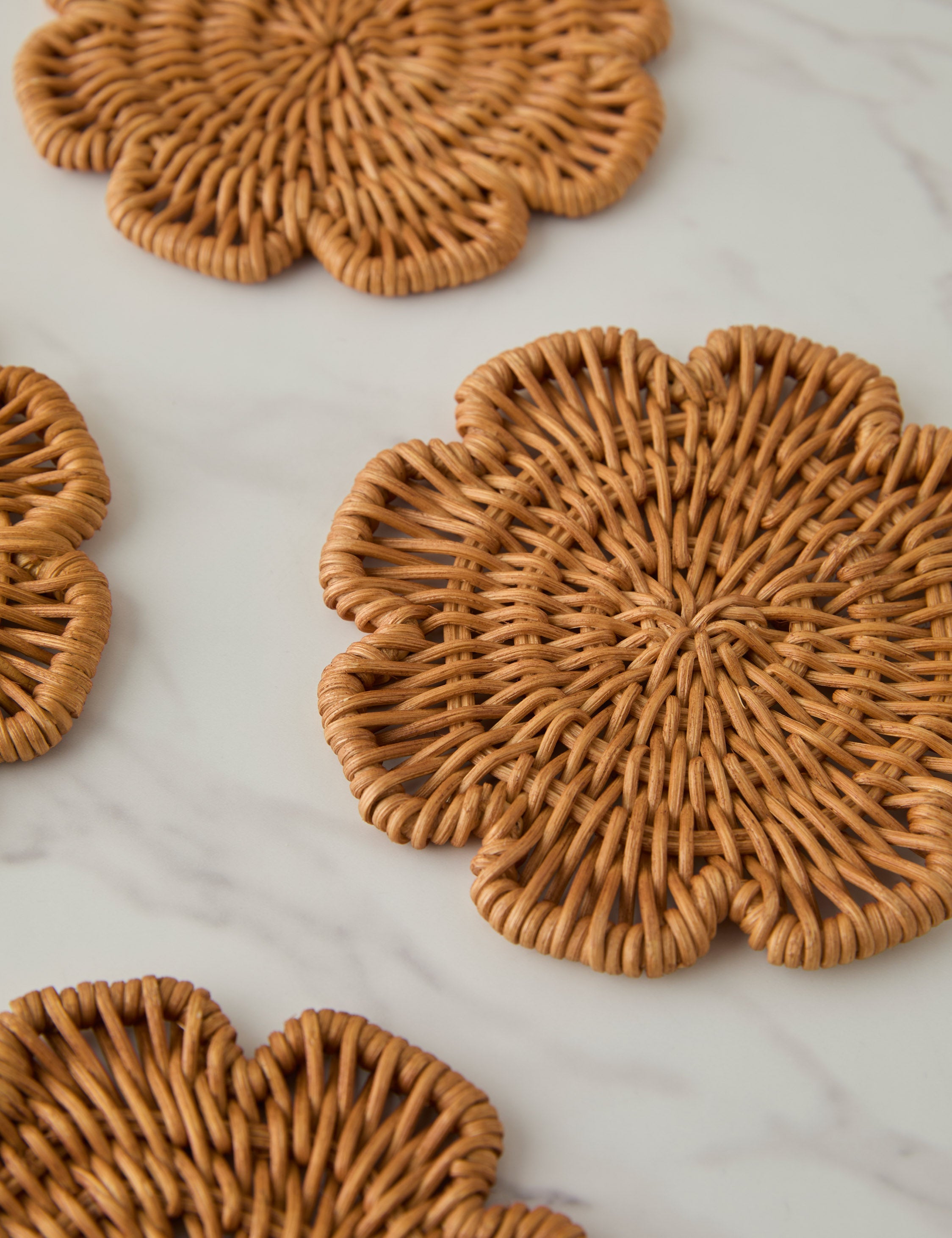 Lulu and Georgia Wiley Coasters (Set of 4) – Ginger - view 4