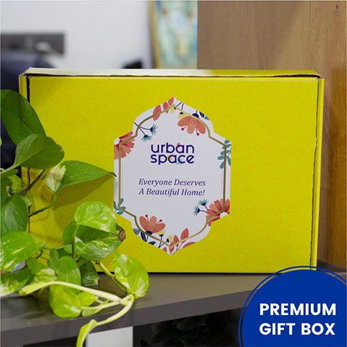 Urban Space Home Furnishing Curated Gift Hampers by URBAN SPACE - B06 - view 3