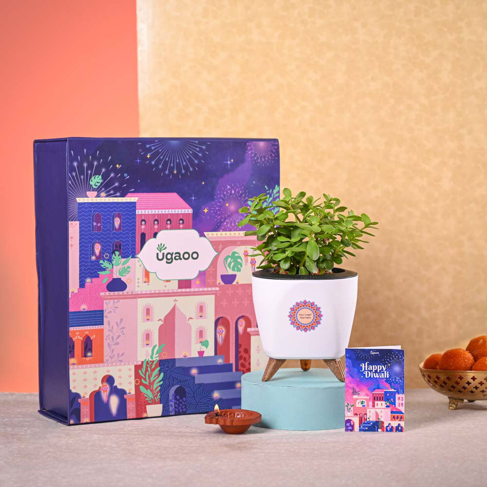 Ugaoo Jade Mini & Epiphany Diwali Gift Hamper - view 2