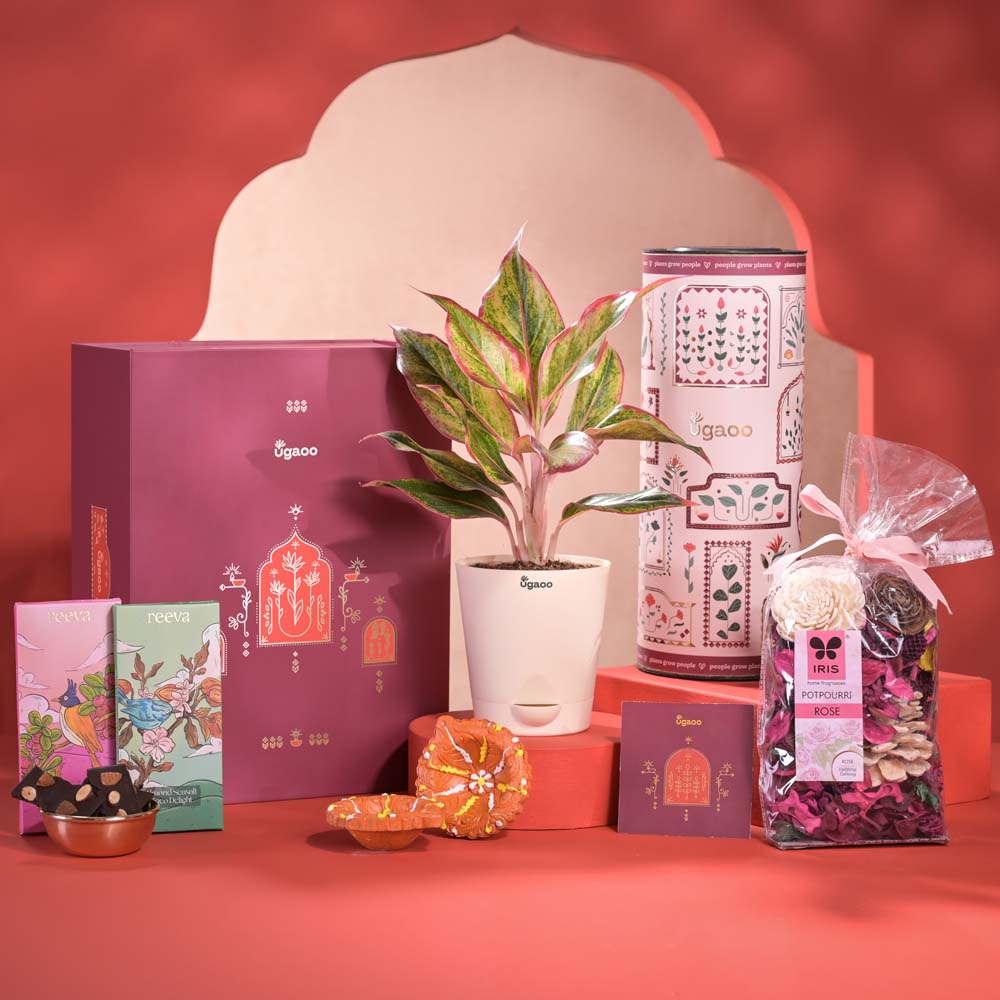 Ugaoo Abundance Diwali Gift Hamper