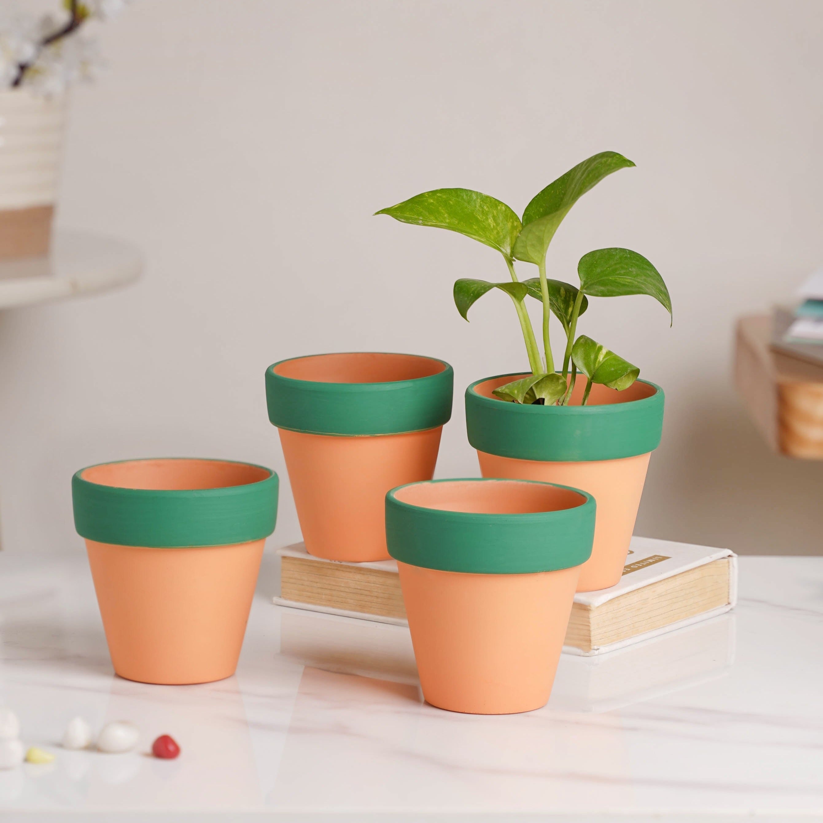 Nestasia Green Rim Orange Clay Pot Set Of 4
