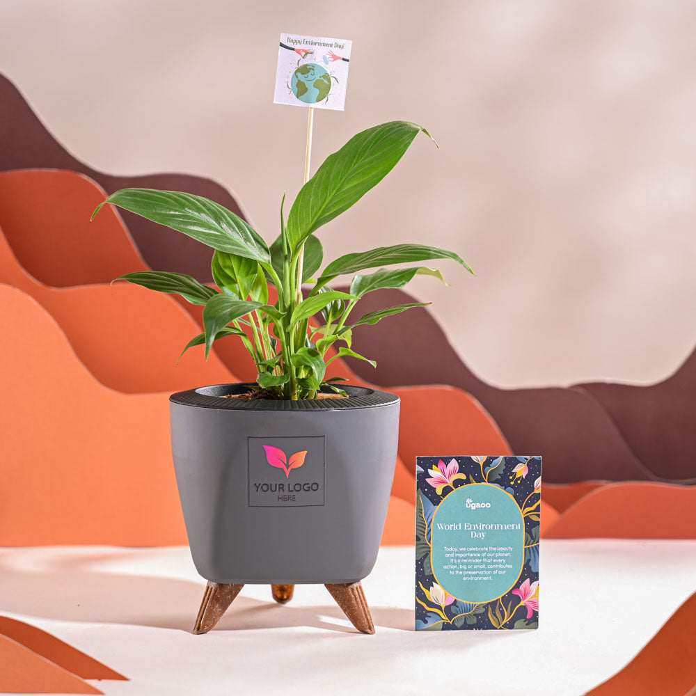 Ugaoo Peace Lily For Environment Day Gifting - view 43