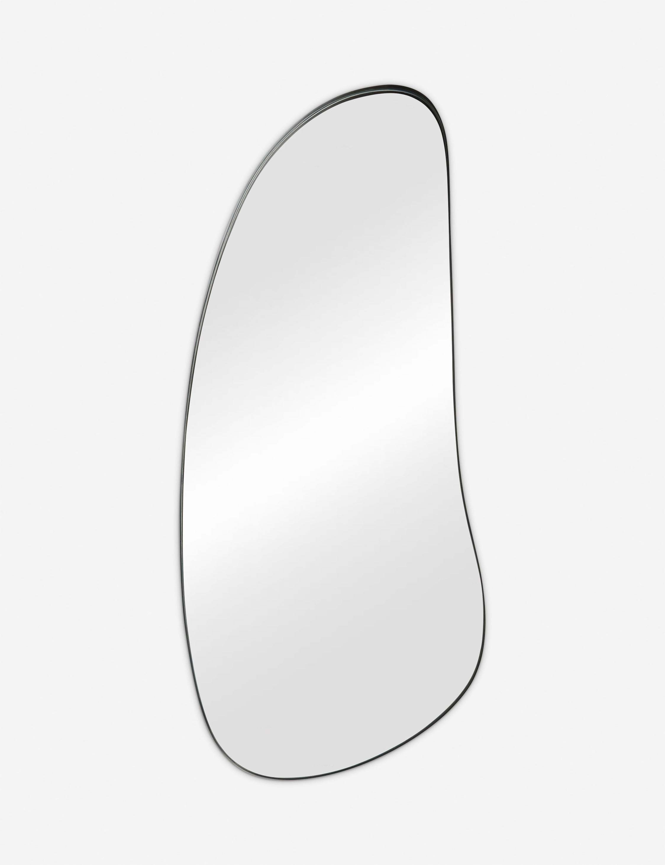 Lulu and Georgia Leganza Full Length Mirror by Aimee Song