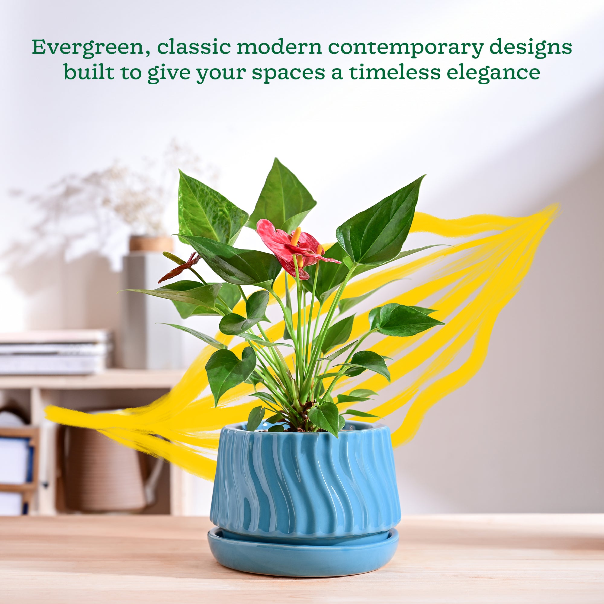 Ugaoo Fallen Angel Ceramic Planter - view 34