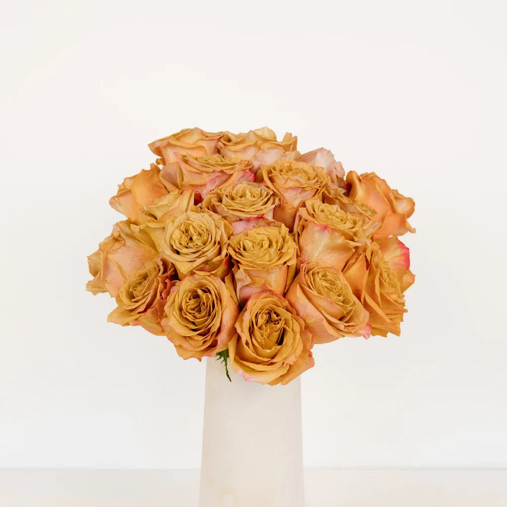 FiftyFlowers Pumpkin Spice Garden Roses - view 3