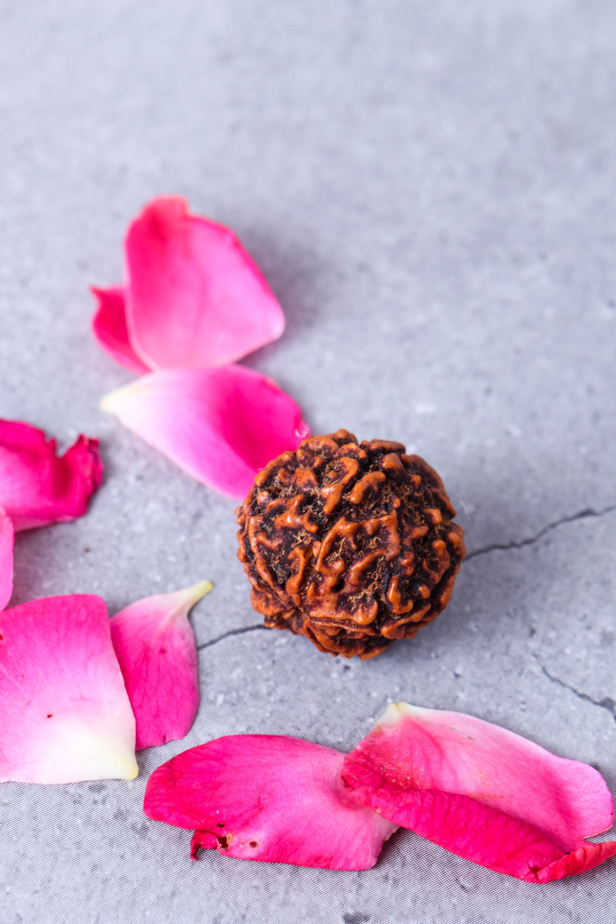 Studio Vaidik 5 mukhi Natural Rudraksha - view 2
