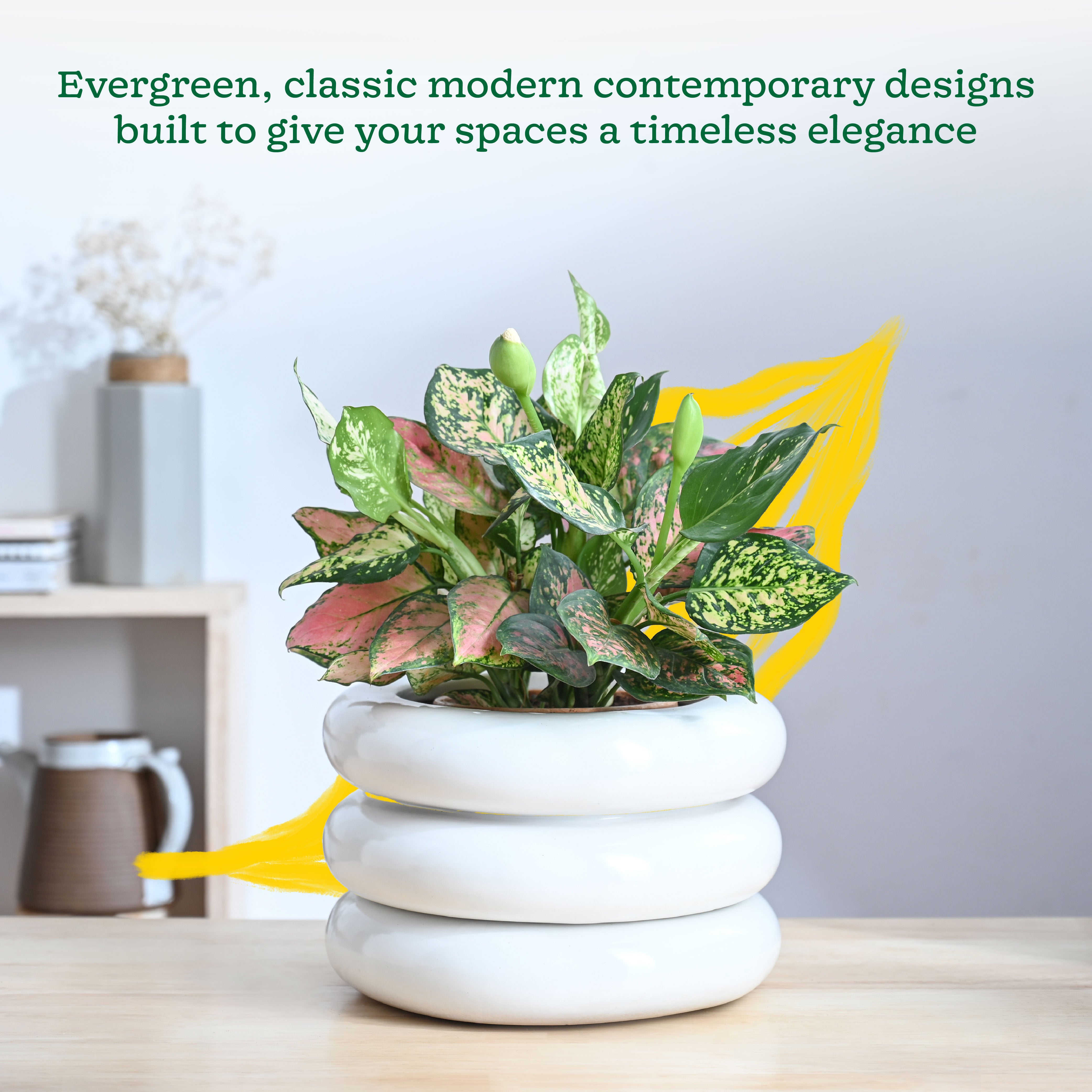 Ugaoo Tiny Kisses Ceramic Planter - view 26