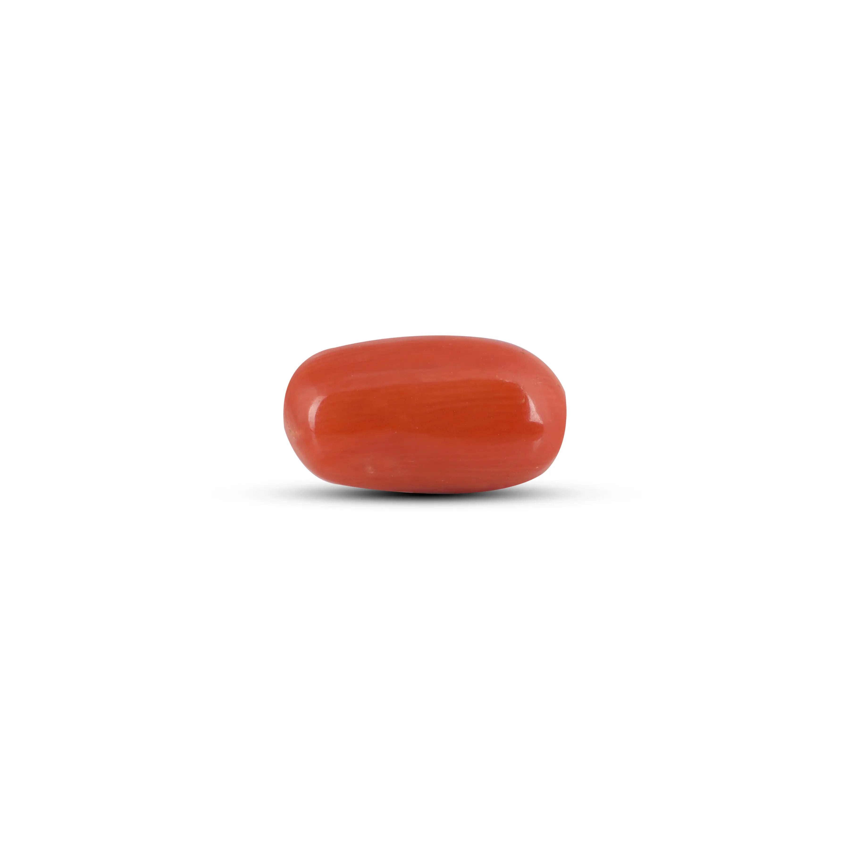 Pramogh Red Coral - 5.6 Carat