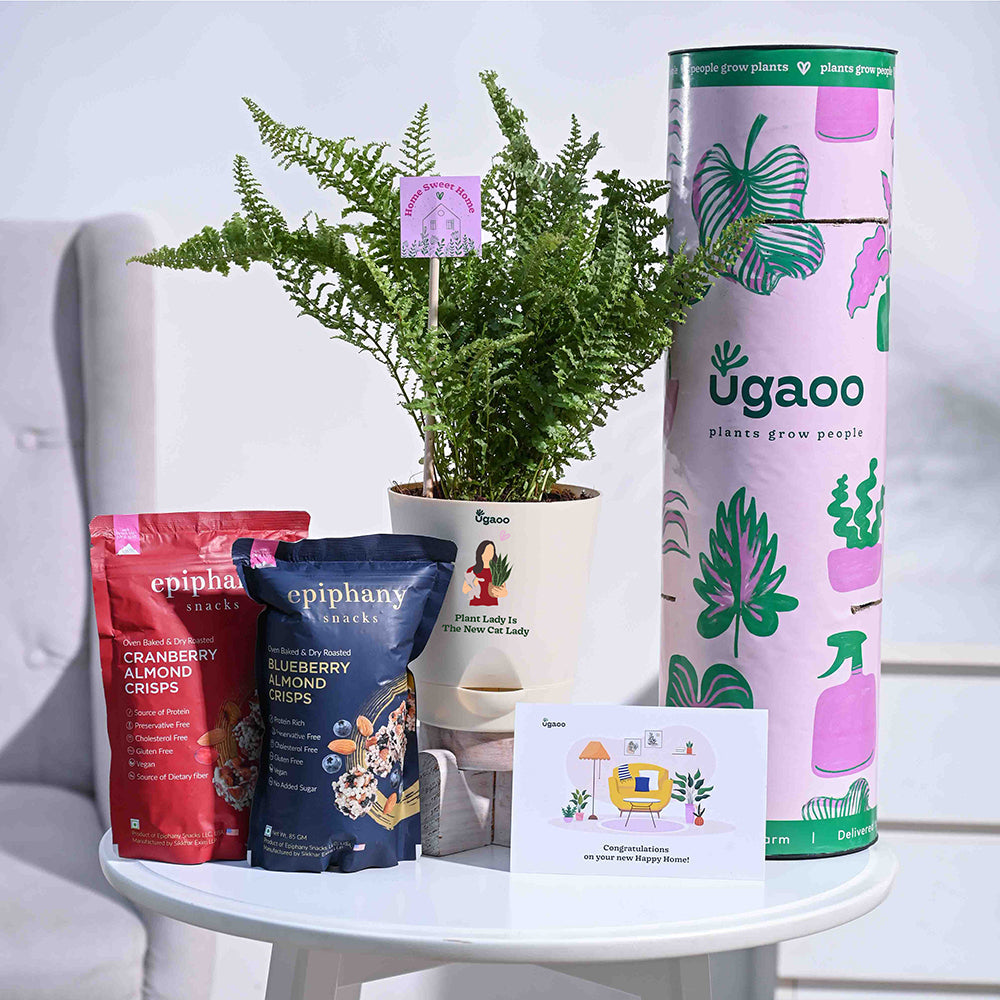 Ugaoo Fern Morpankhi Housewarming Gift Hamper