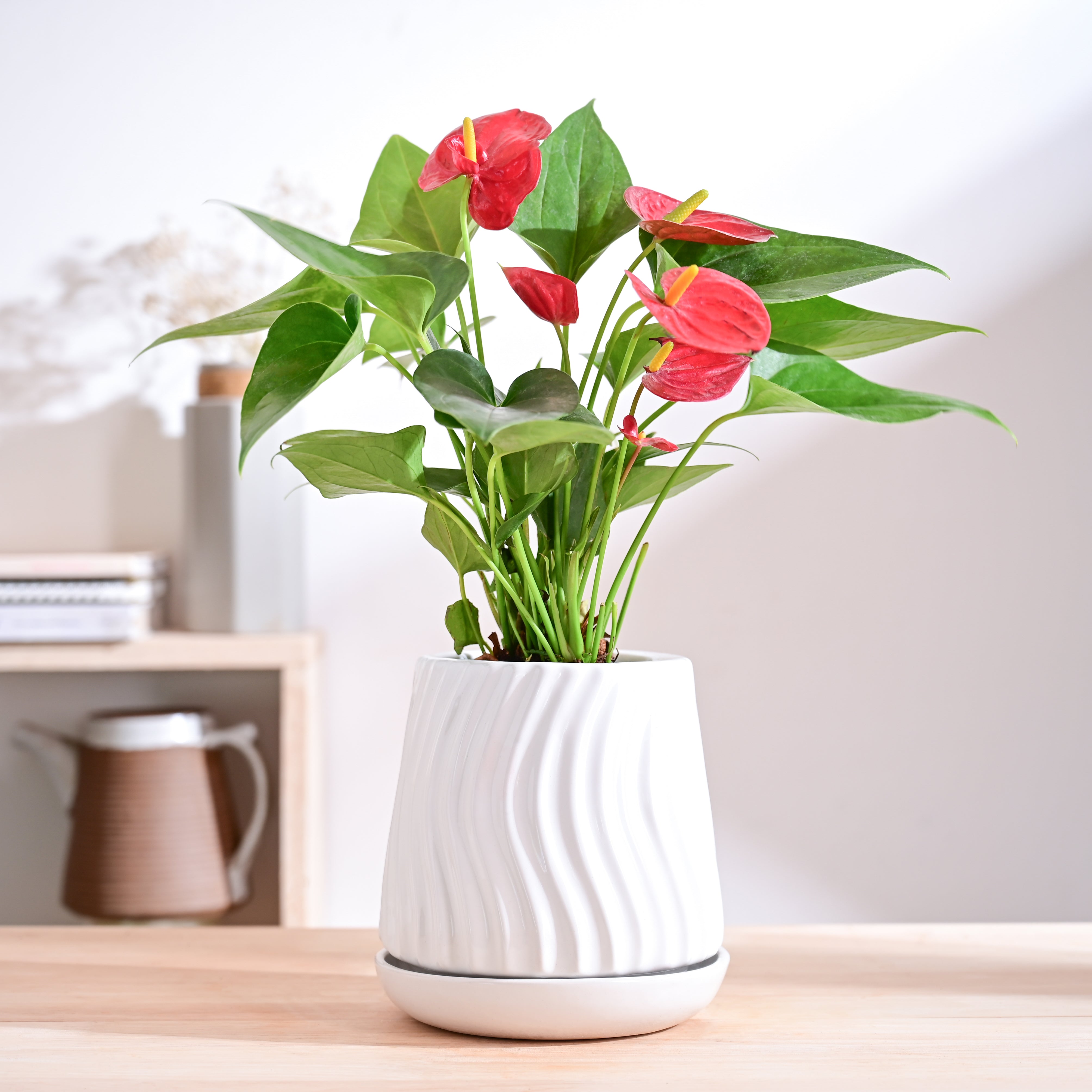 Ugaoo Fallen Angel Ceramic Planter - view 17