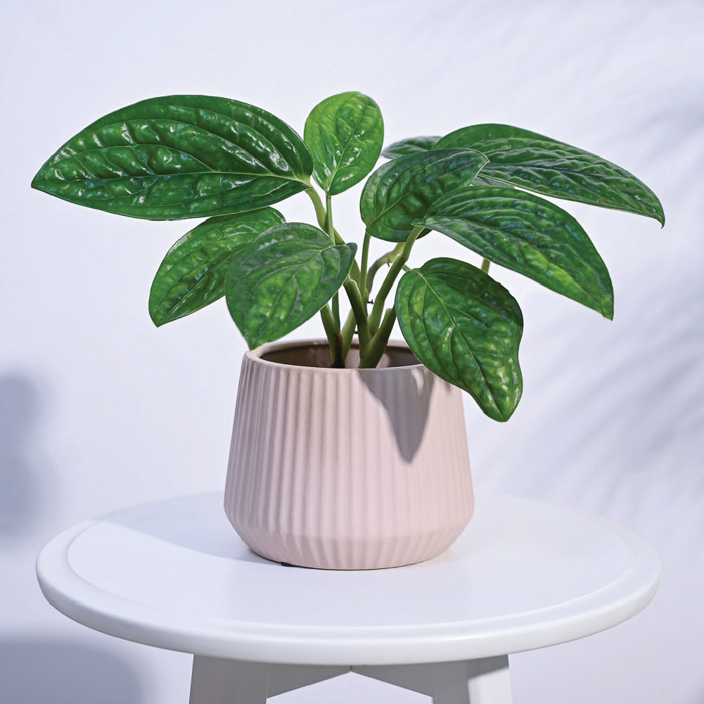 Ugaoo Synth Ceramic Pot