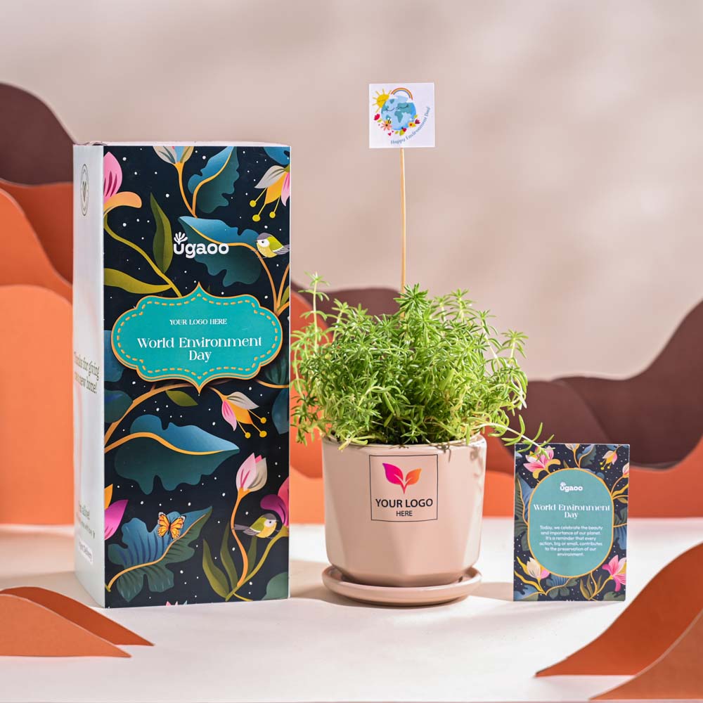 Ugaoo Golden Sedum Plant For Environment Day Gifting - view 55