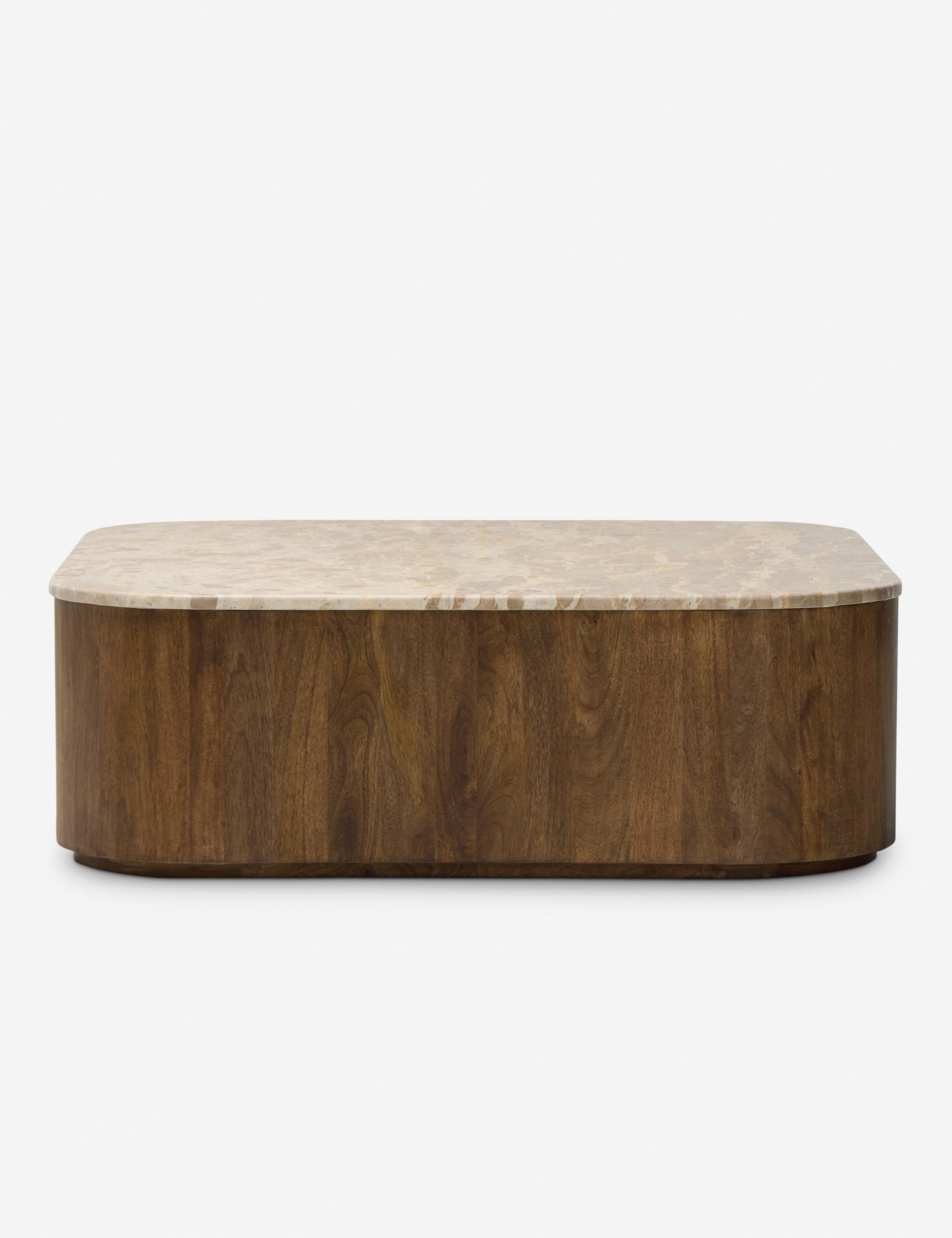 Lulu and Georgia Kamina Round Coffee Table by Amber Lewis x Four Hands