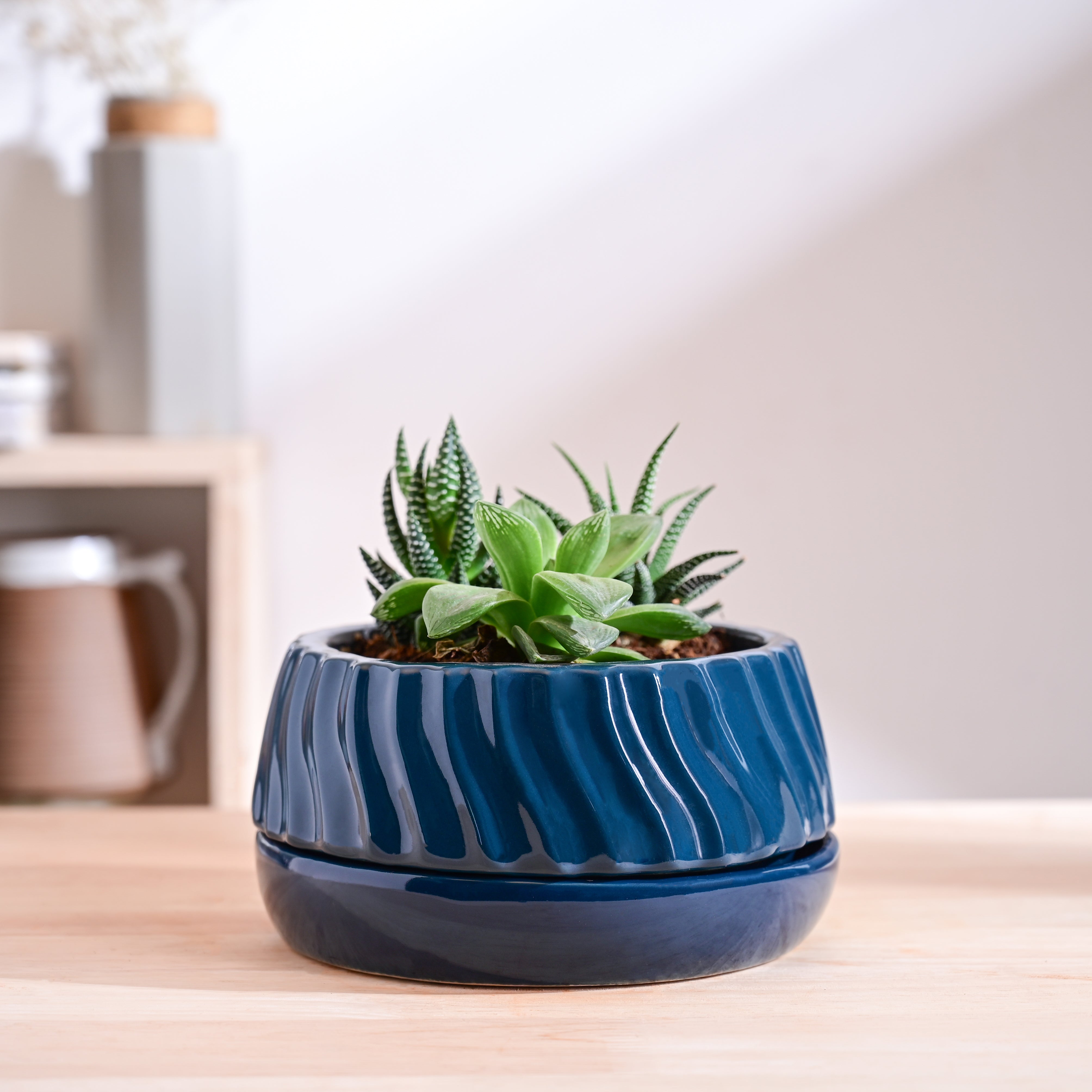 Ugaoo Fallen Angel Ceramic Planter - view 57