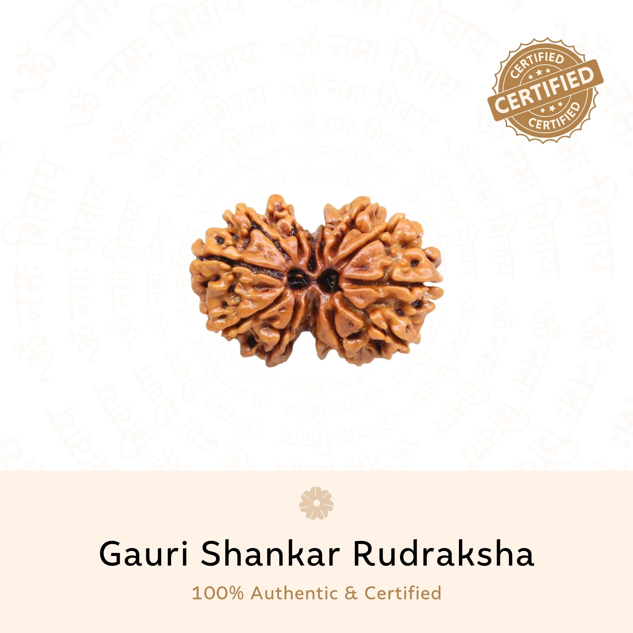 Prinjal Jewellers Gauri Shankar Rudraksha (Nepali) - view 2
