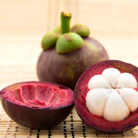 MR Mangosteen Fruit Live Plant (Garcinia Mangostana) - view 2