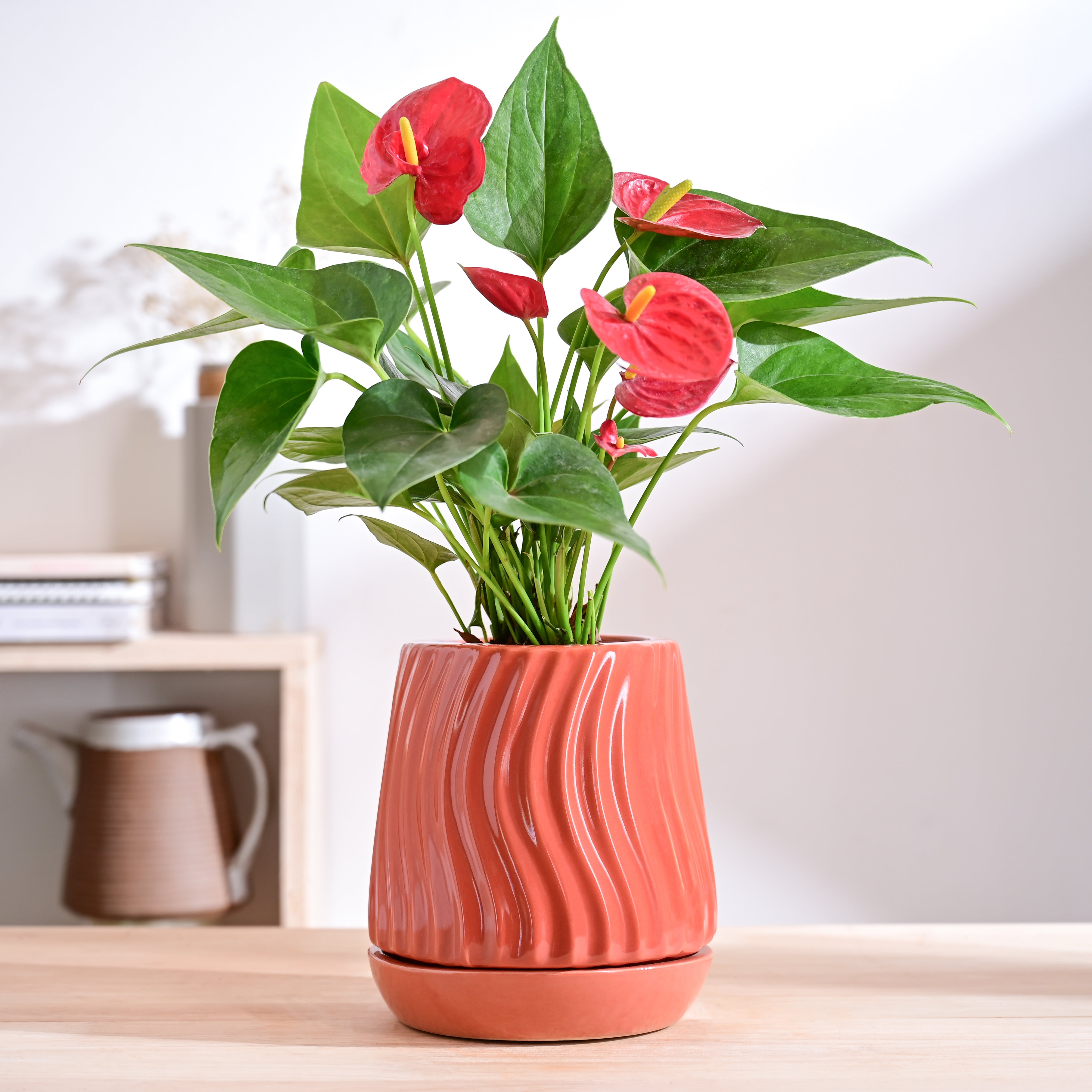 Ugaoo Fallen Angel Ceramic Planter