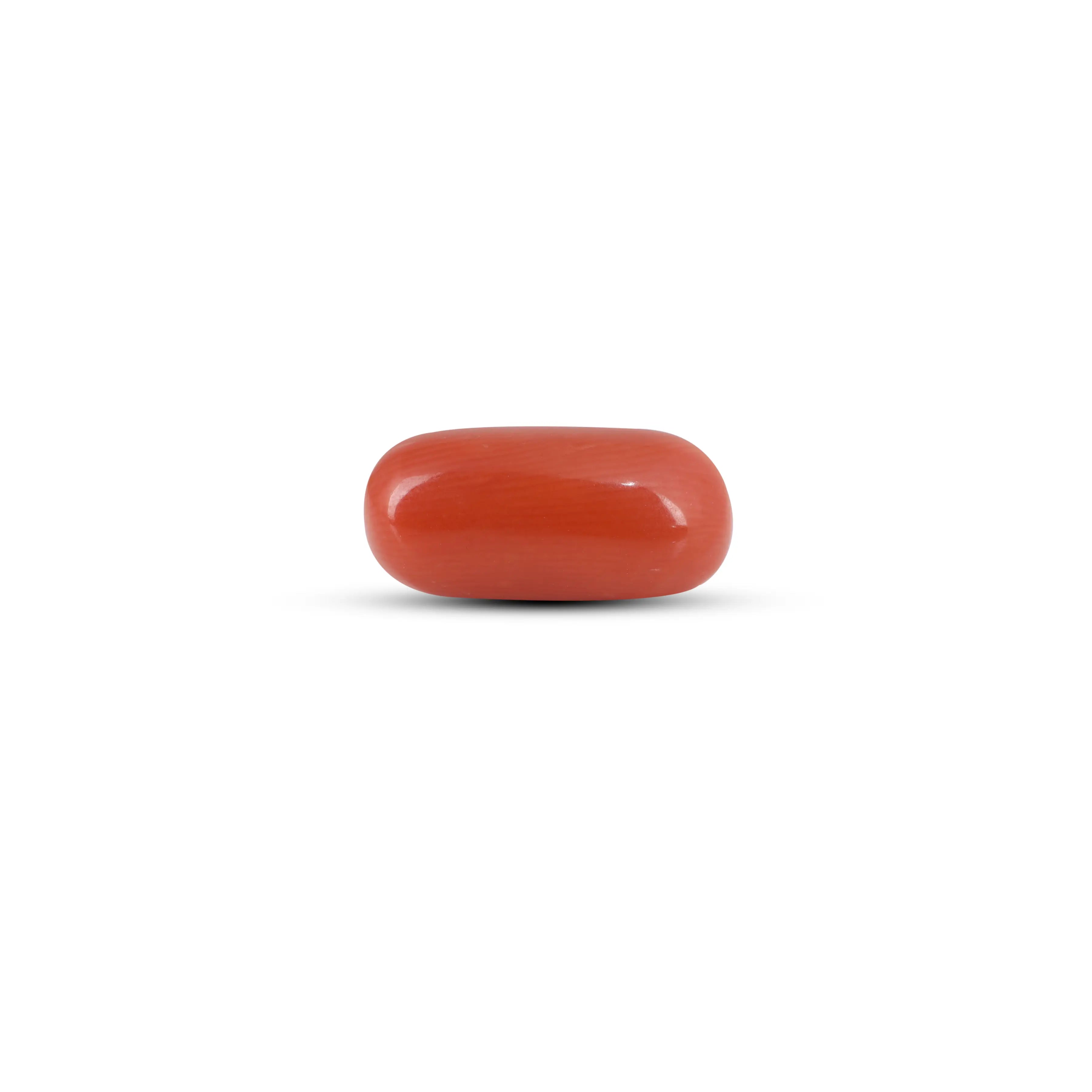 Pramogh Red Coral - 6.7 Carat