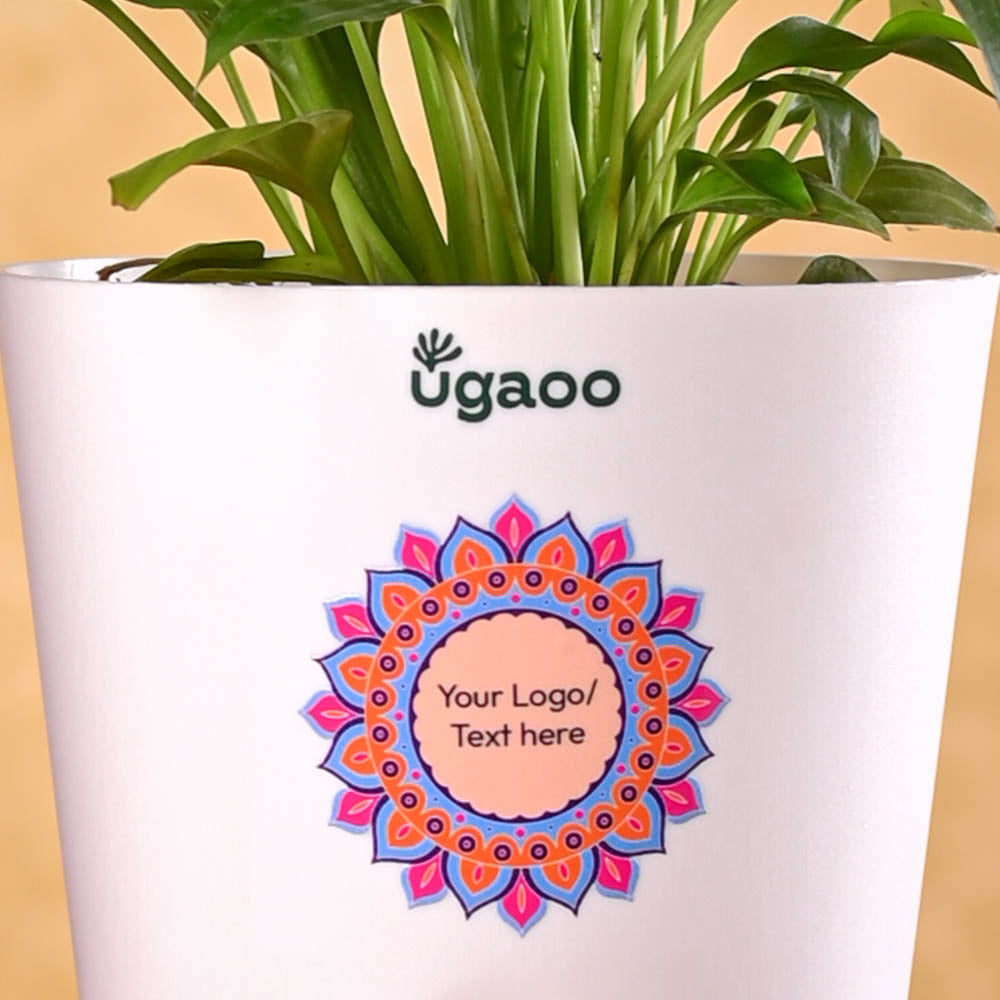 Ugaoo Peace Lily Diwali Gift - view 3
