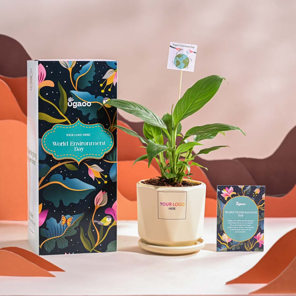 Ugaoo Peace Lily For Environment Day Gifting - view 61