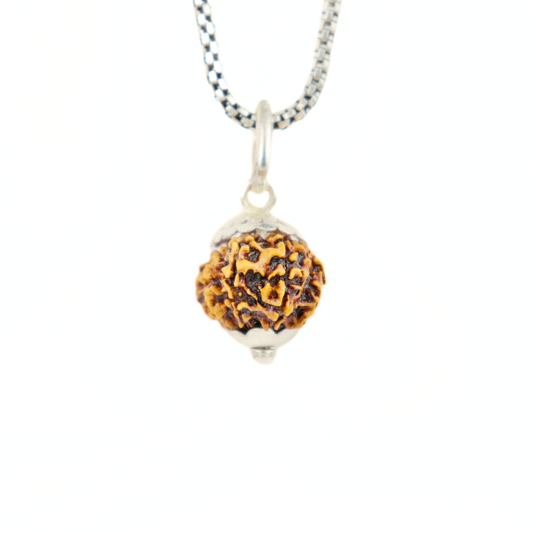 Prinjal Jewellers Silver Capping 12 Mukhi Rudraksha Pendant With Chain ( Nepali )