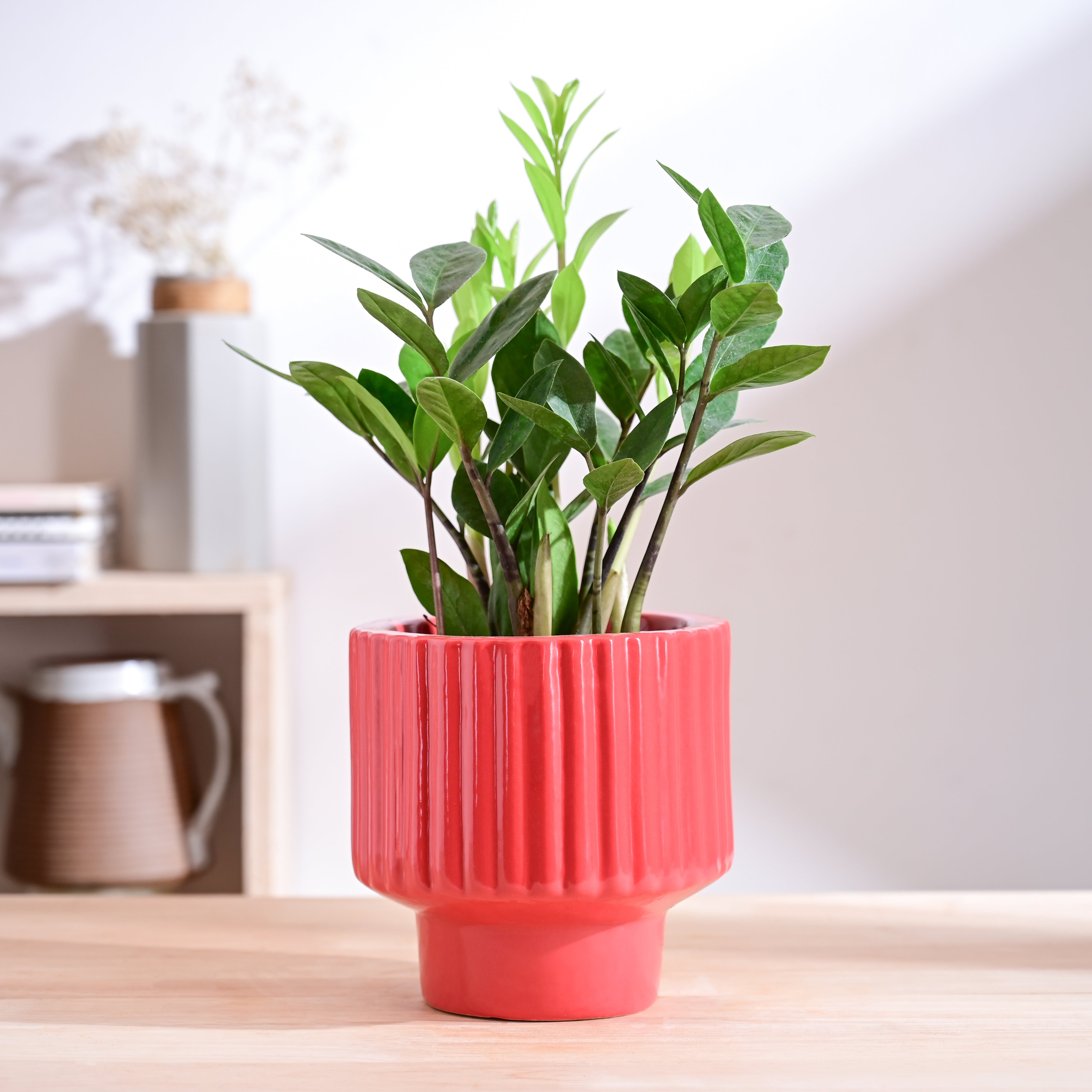 Ugaoo Forms of Love Ceramic Planter - view 9