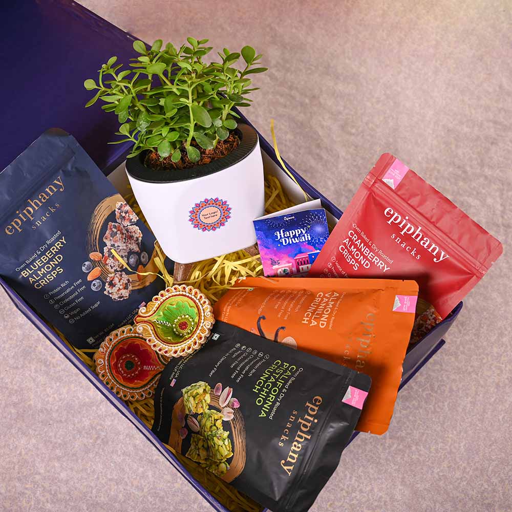 Ugaoo Jade Mini & Epiphany Diwali Gift Hamper - view 10