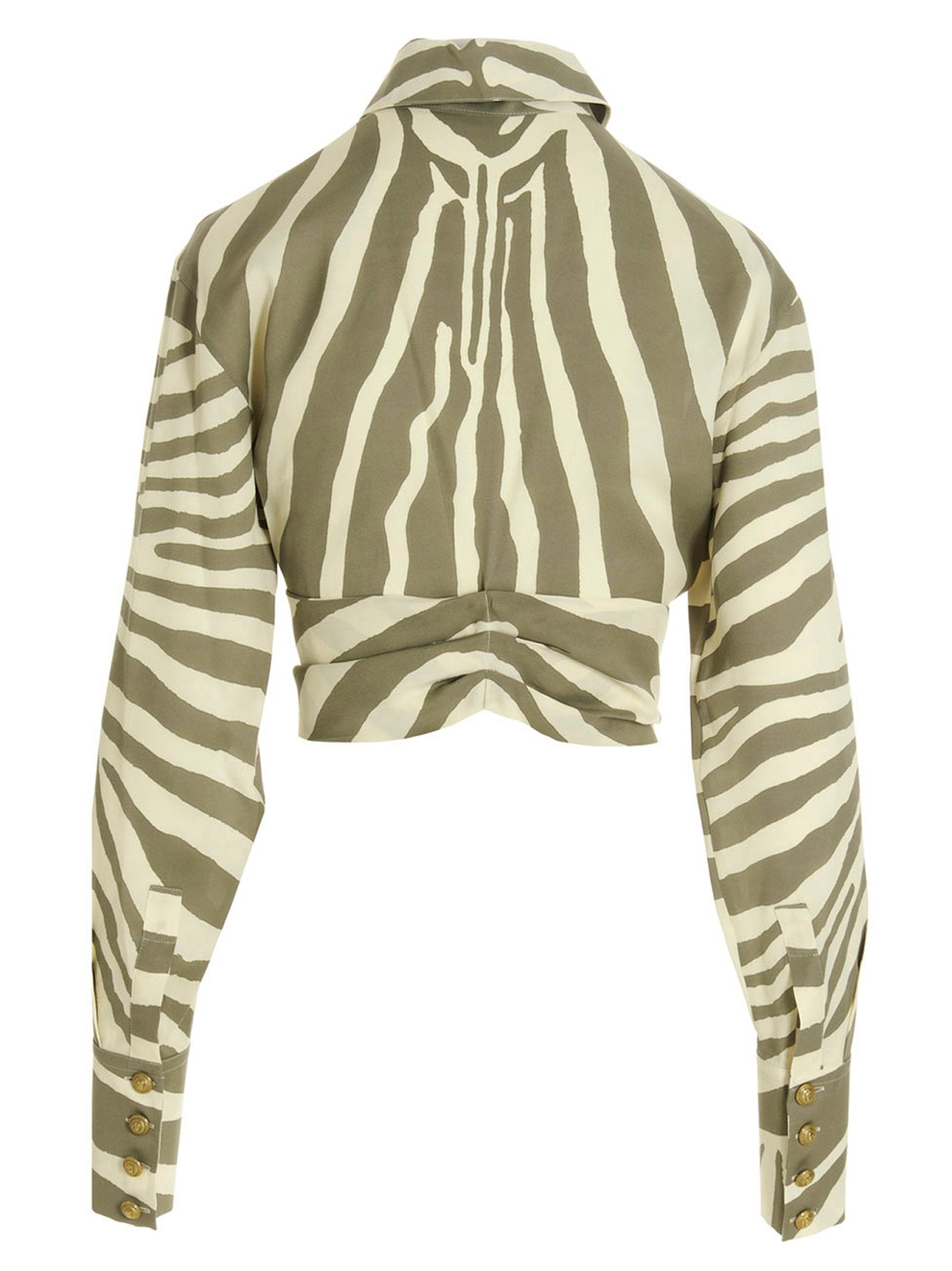 Balmain Zebra Shirt – 71% vi 29% tl - view 2