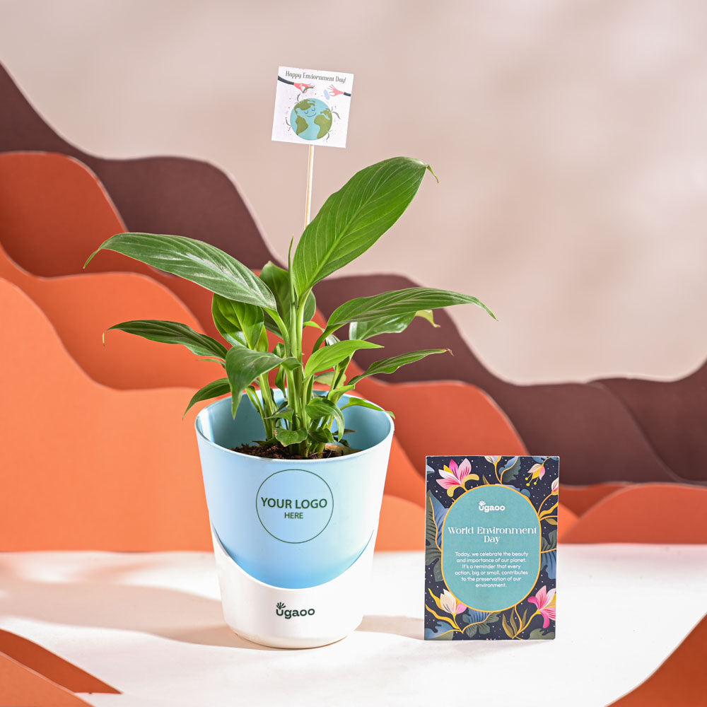 Ugaoo Peace Lily For Environment Day Gifting - view 20