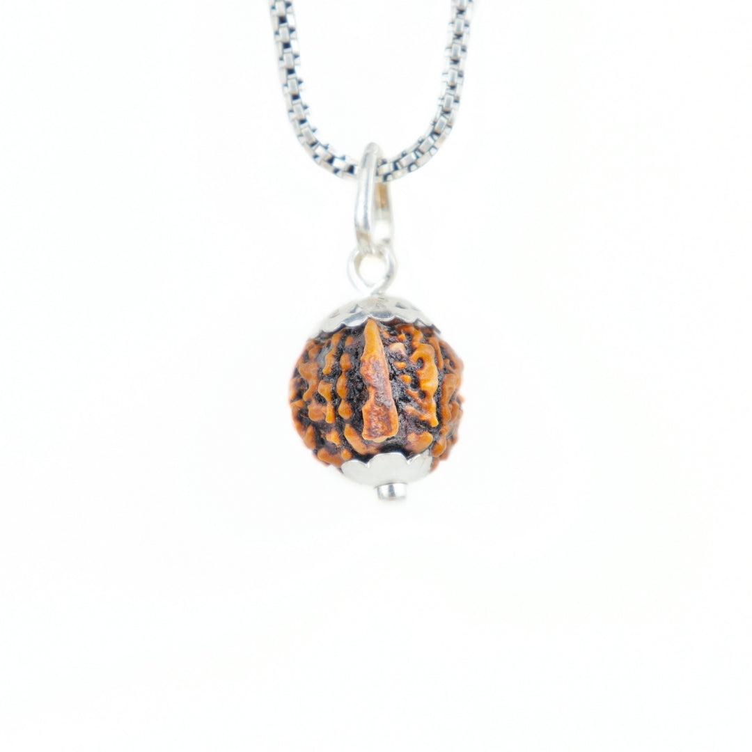 Prinjal Jewellers Silver Capping Ganesh Mukhi Rudraksha Pendant With Chain ( Nepali )