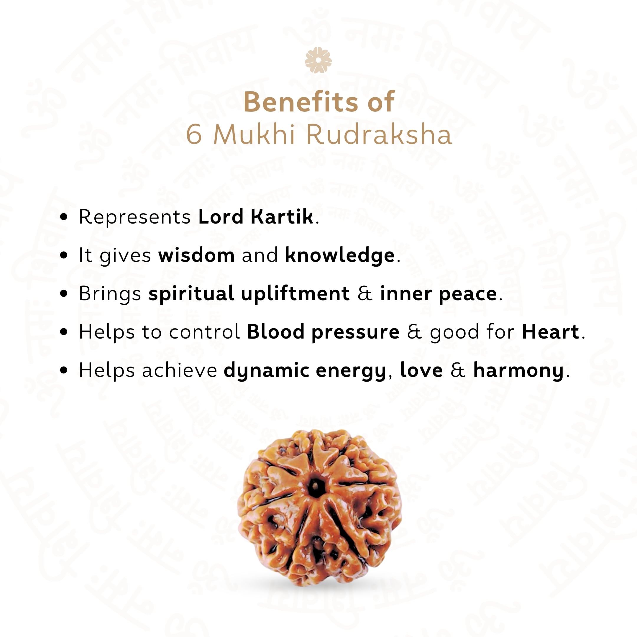 Prinjal Jewellers 6 Mukhi Rudraksha ( Nepali ) - view 3